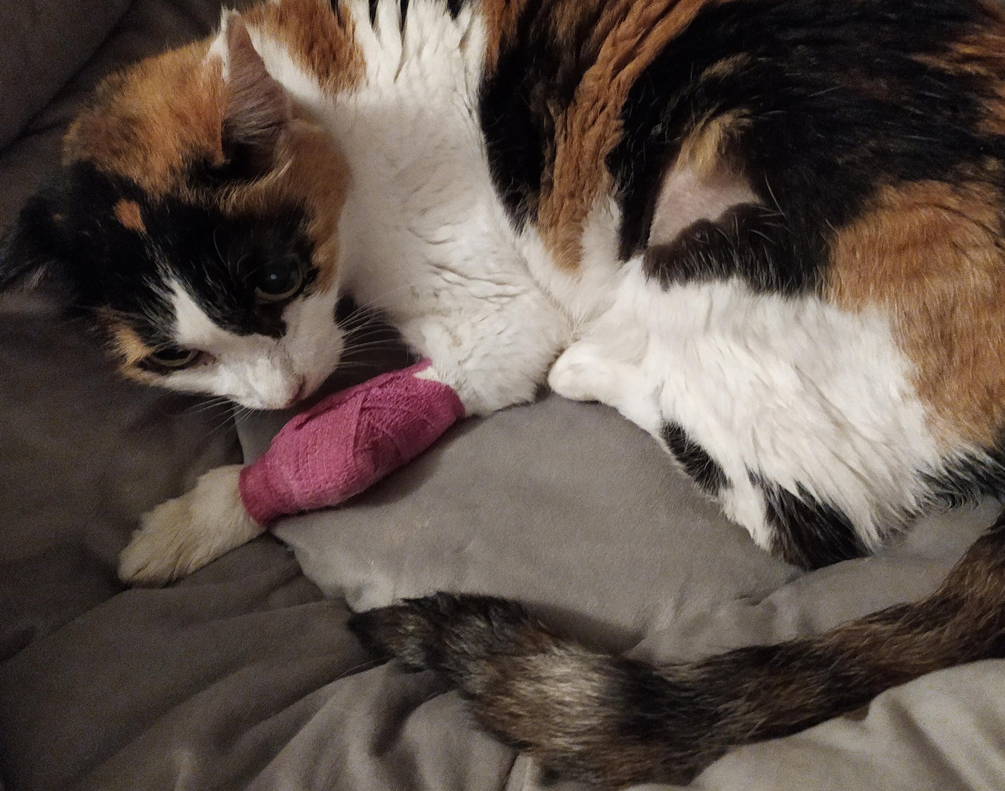 Question details sensitive content