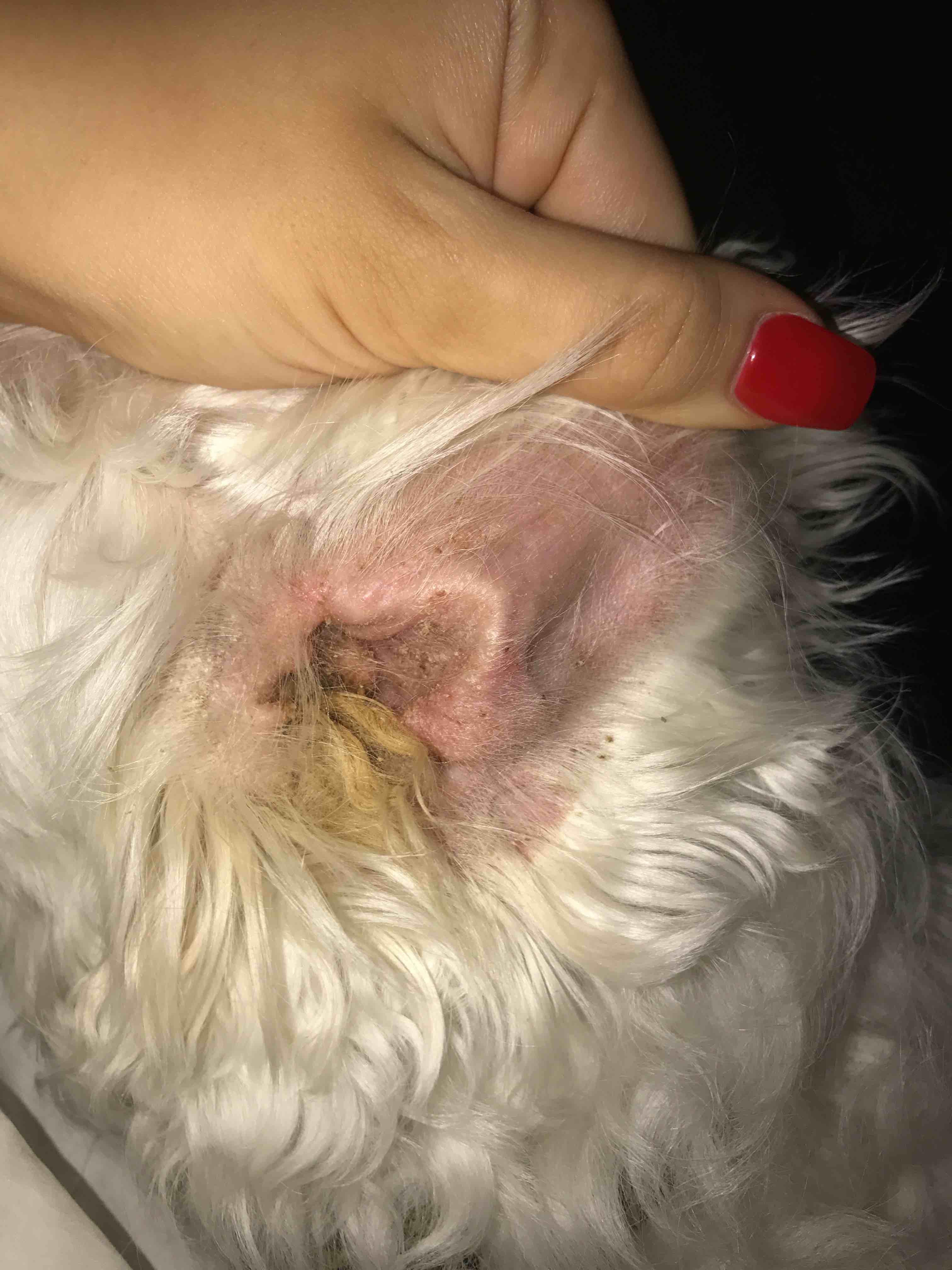 Question details sensitive content