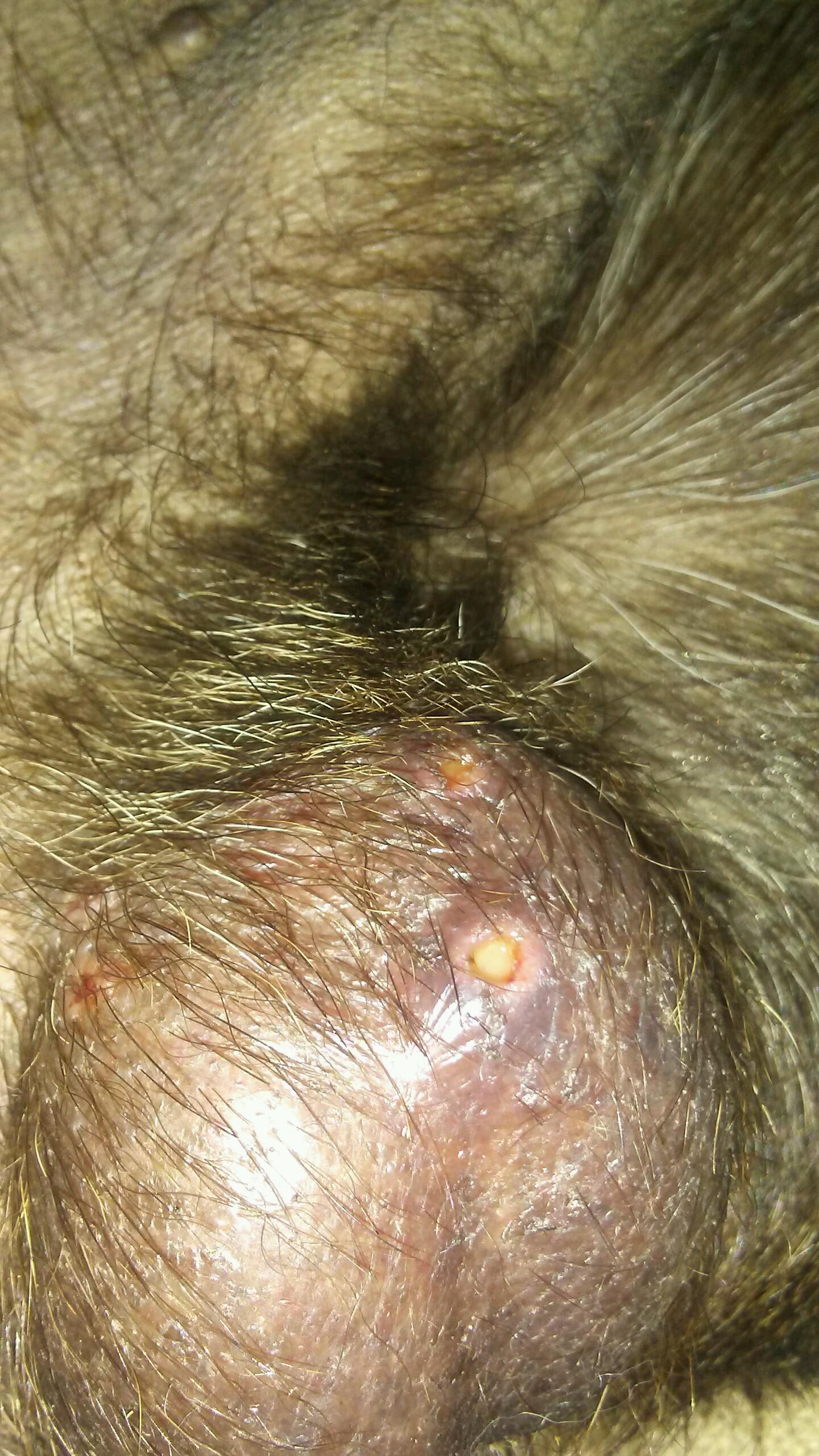 Question details sensitive content