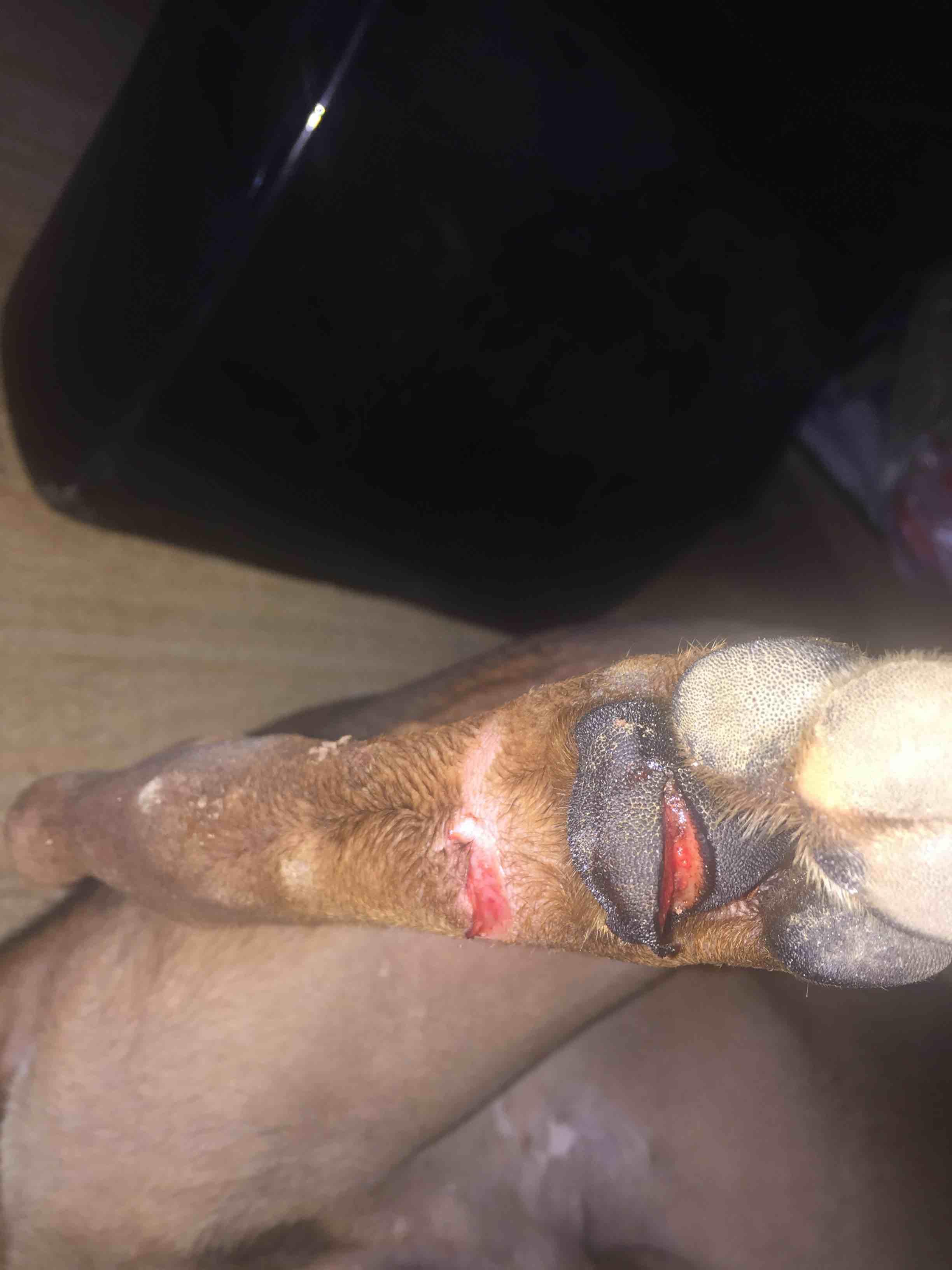 Question details sensitive content