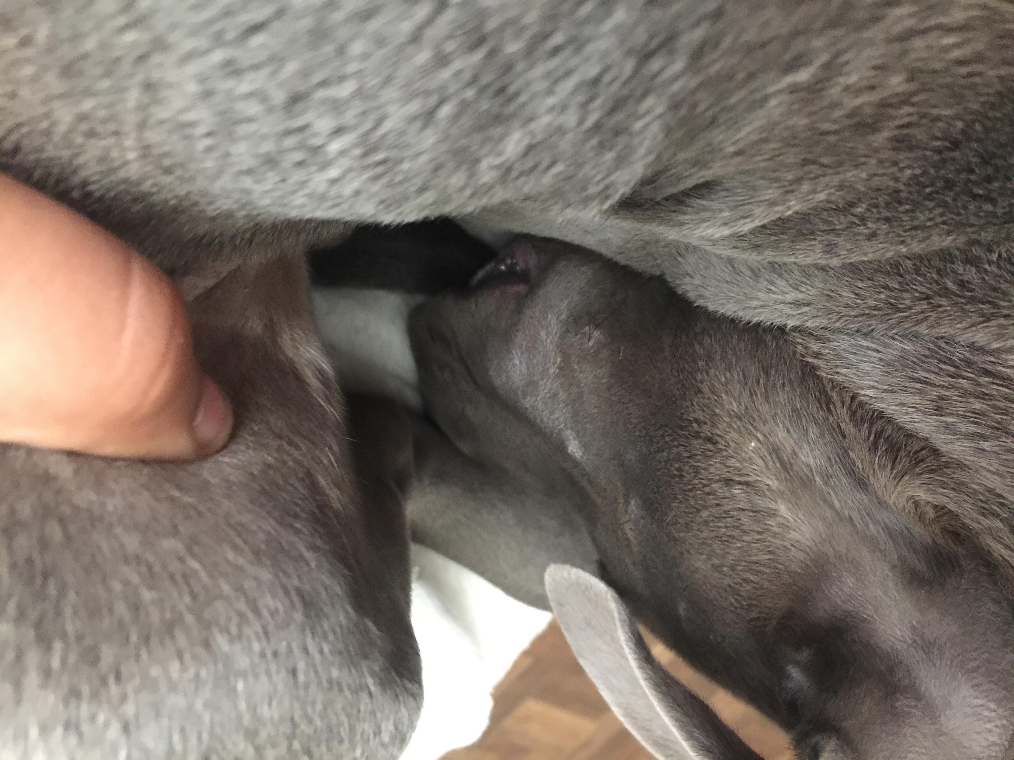 Question details sensitive content