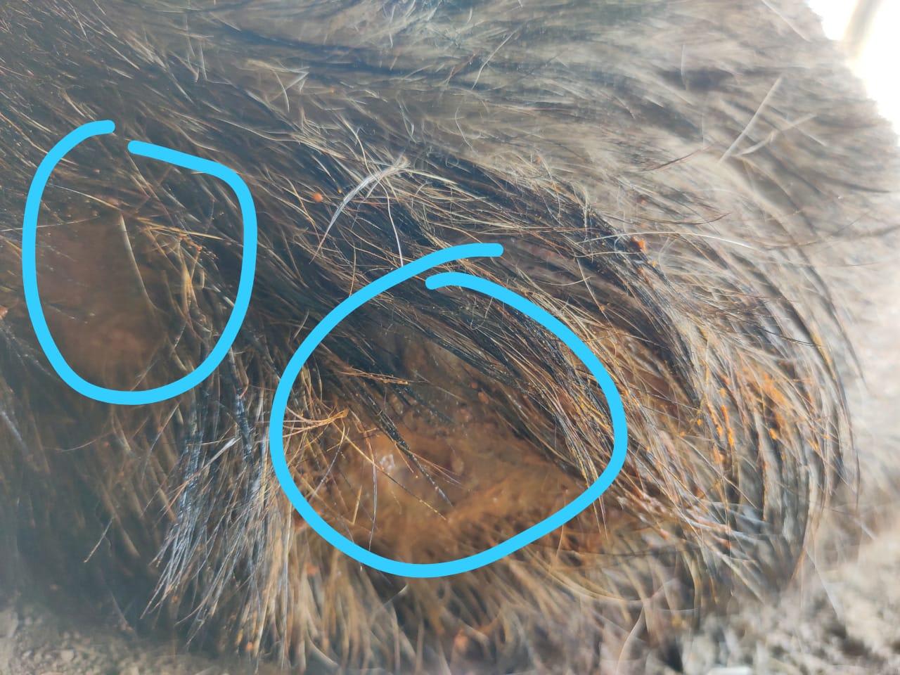 Question details sensitive content