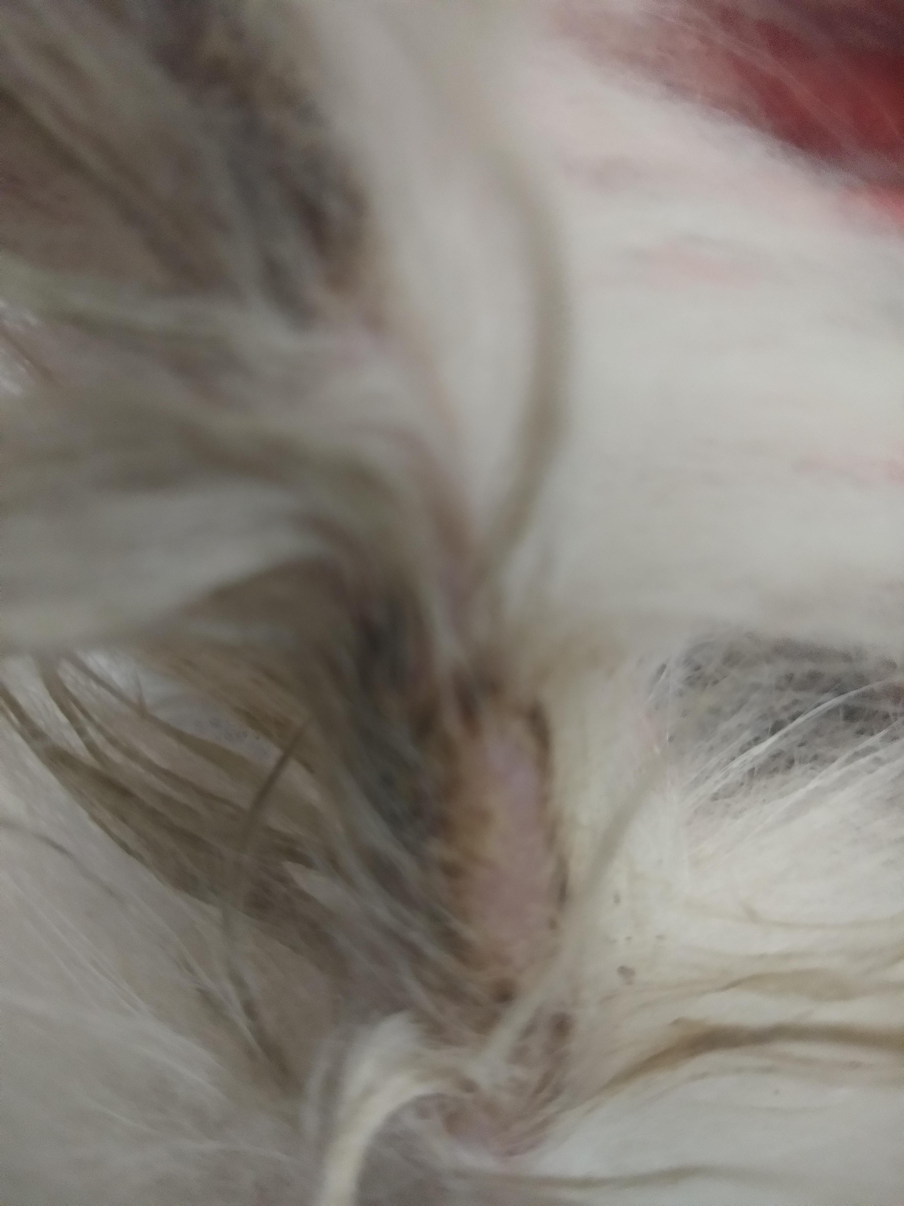 Question details sensitive content