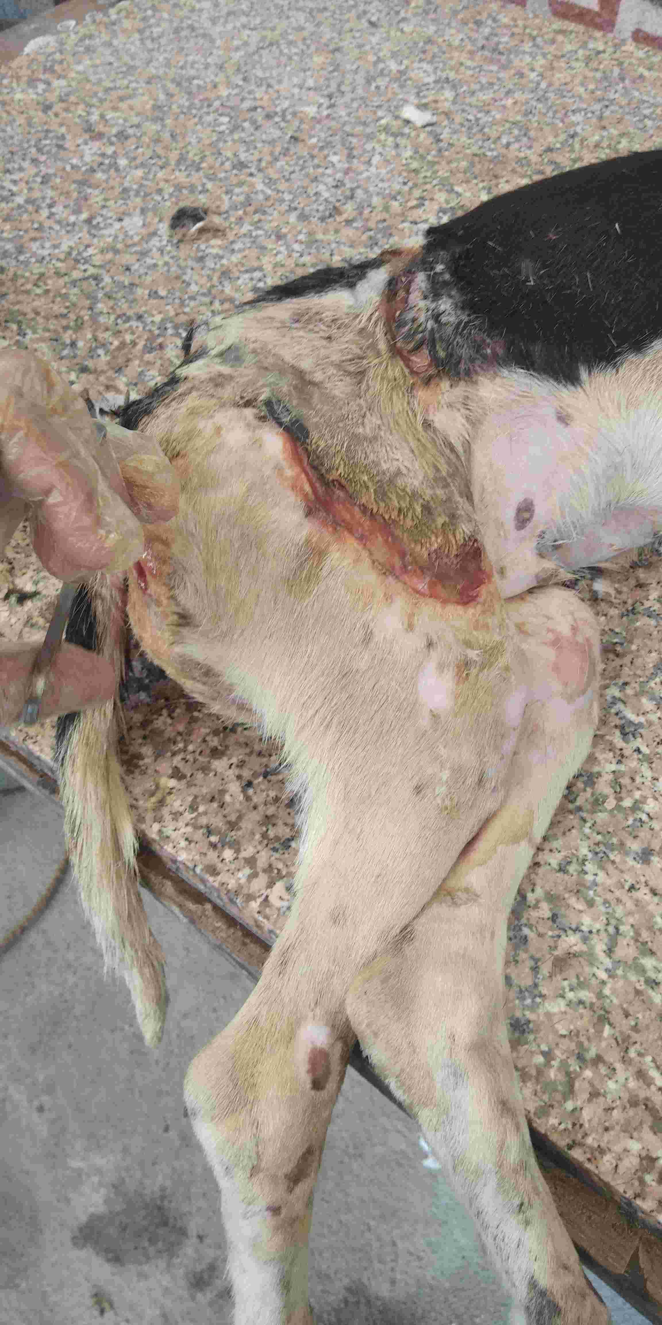 Question details sensitive content