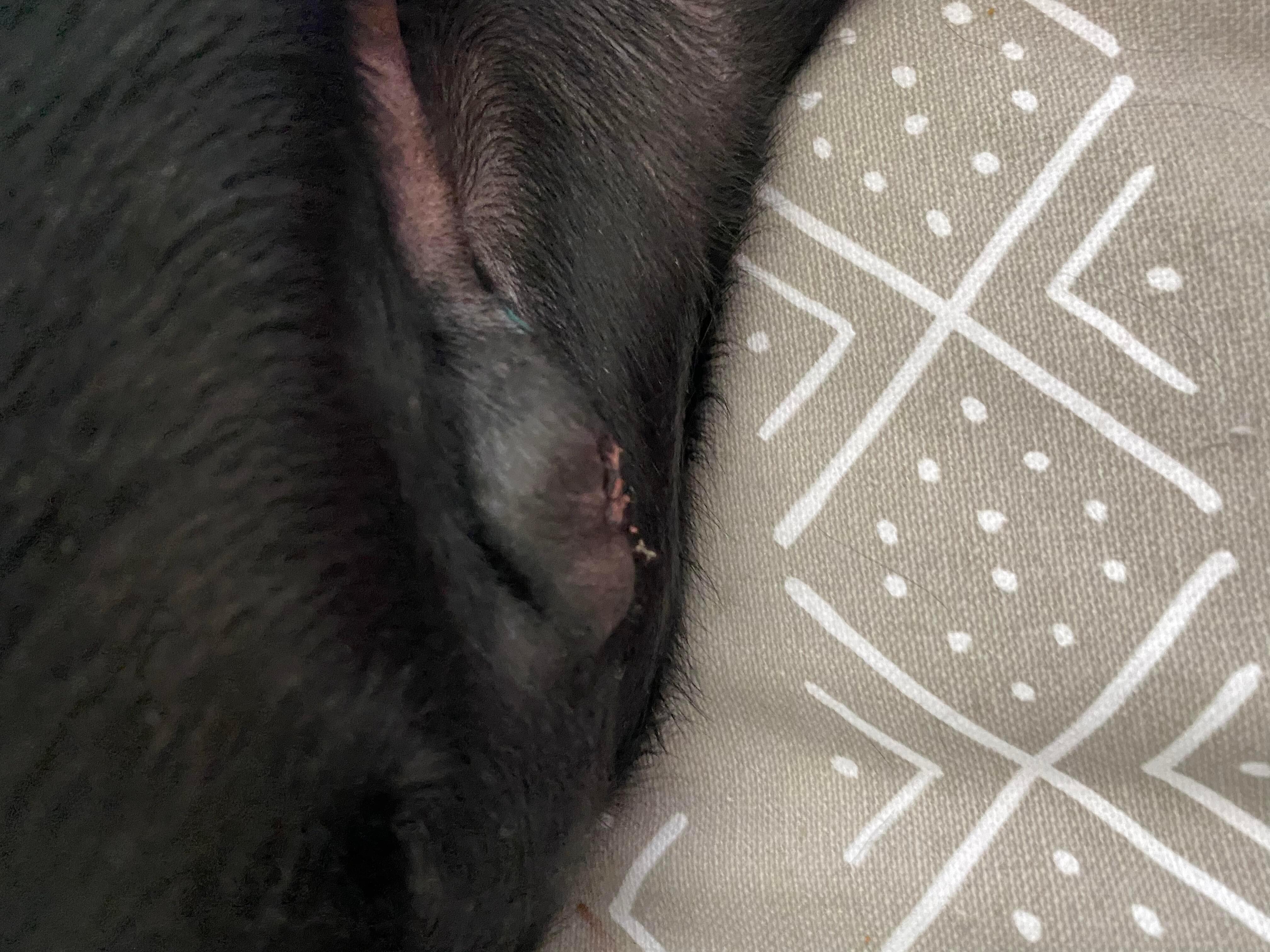 Question details sensitive content