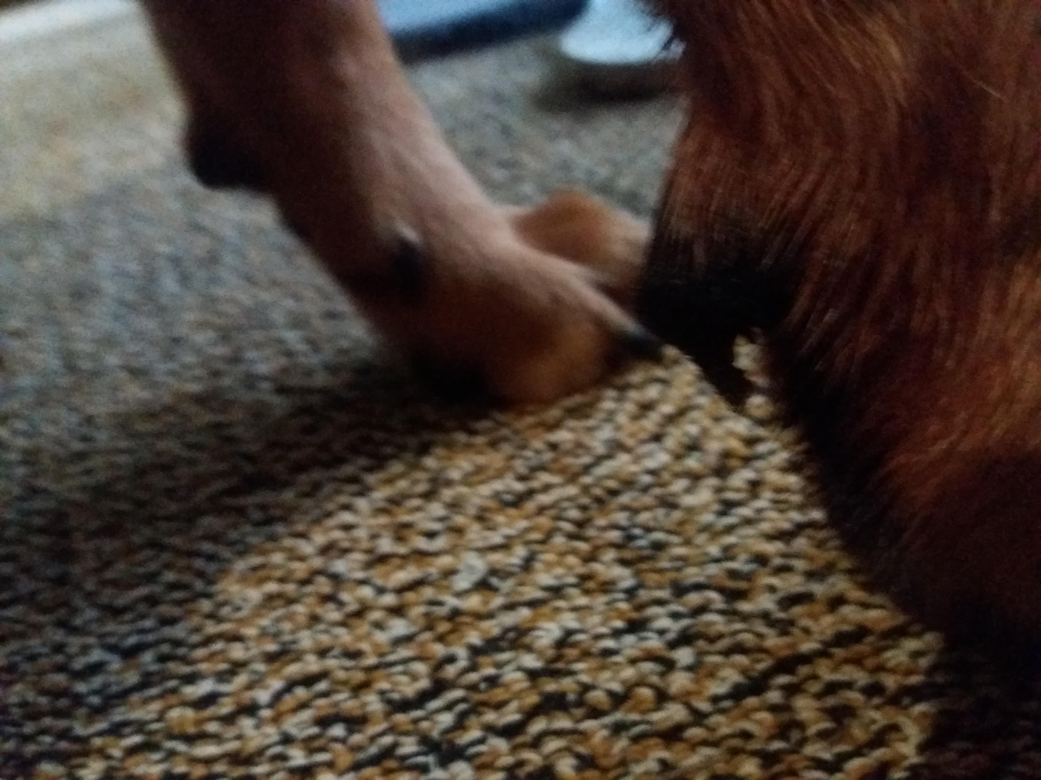 Question details sensitive content