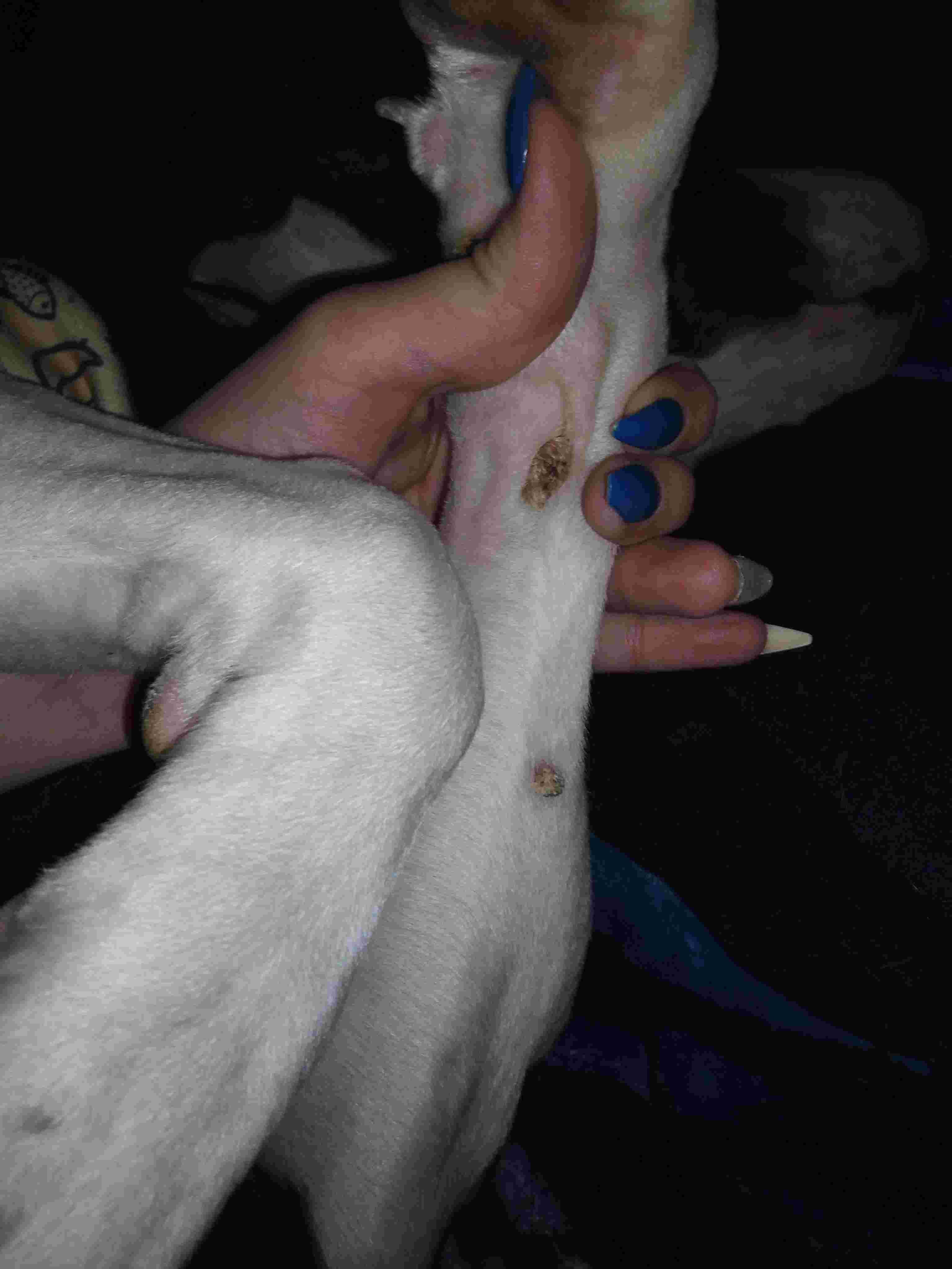 Question details sensitive content