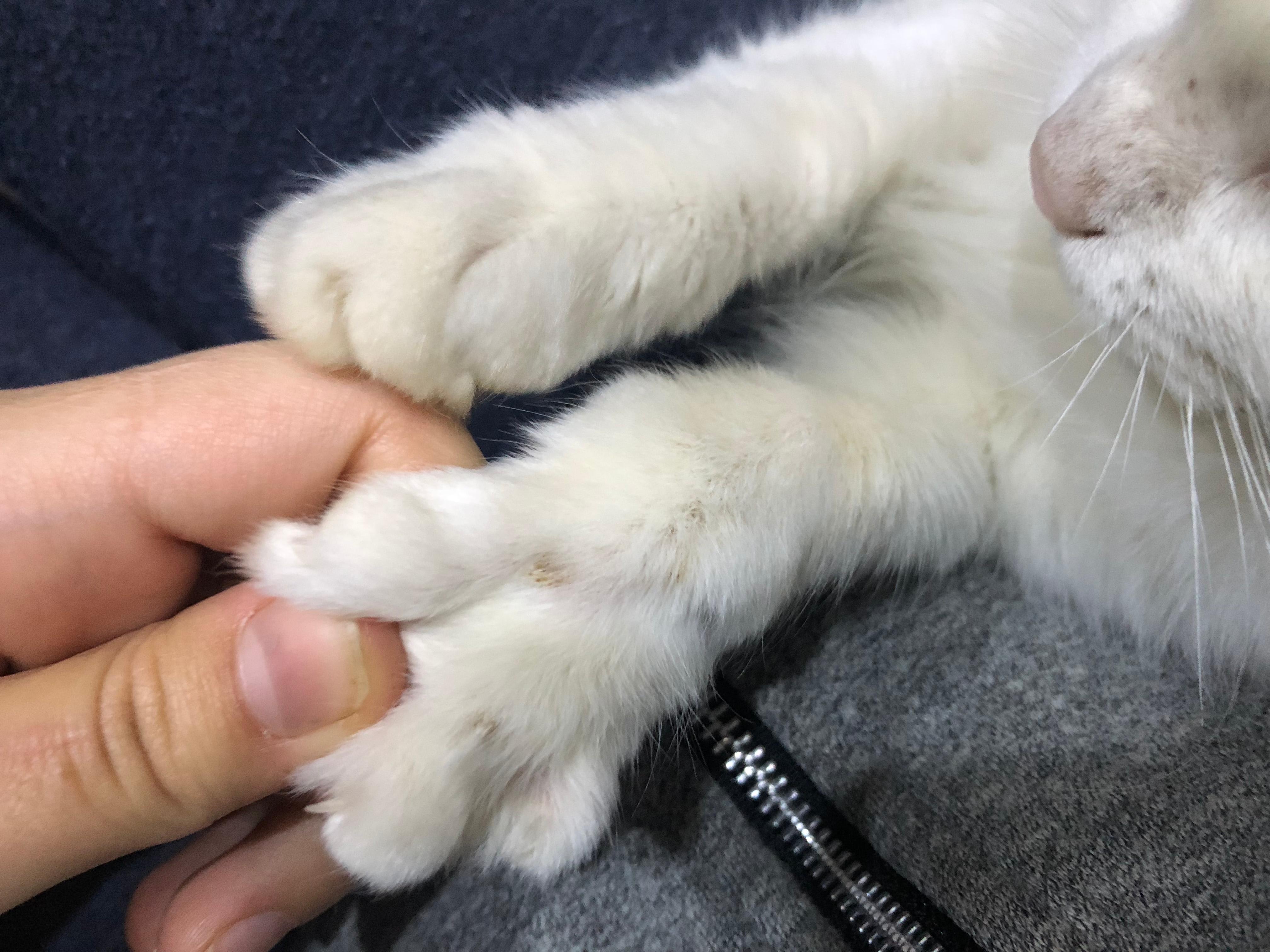 Question details sensitive content