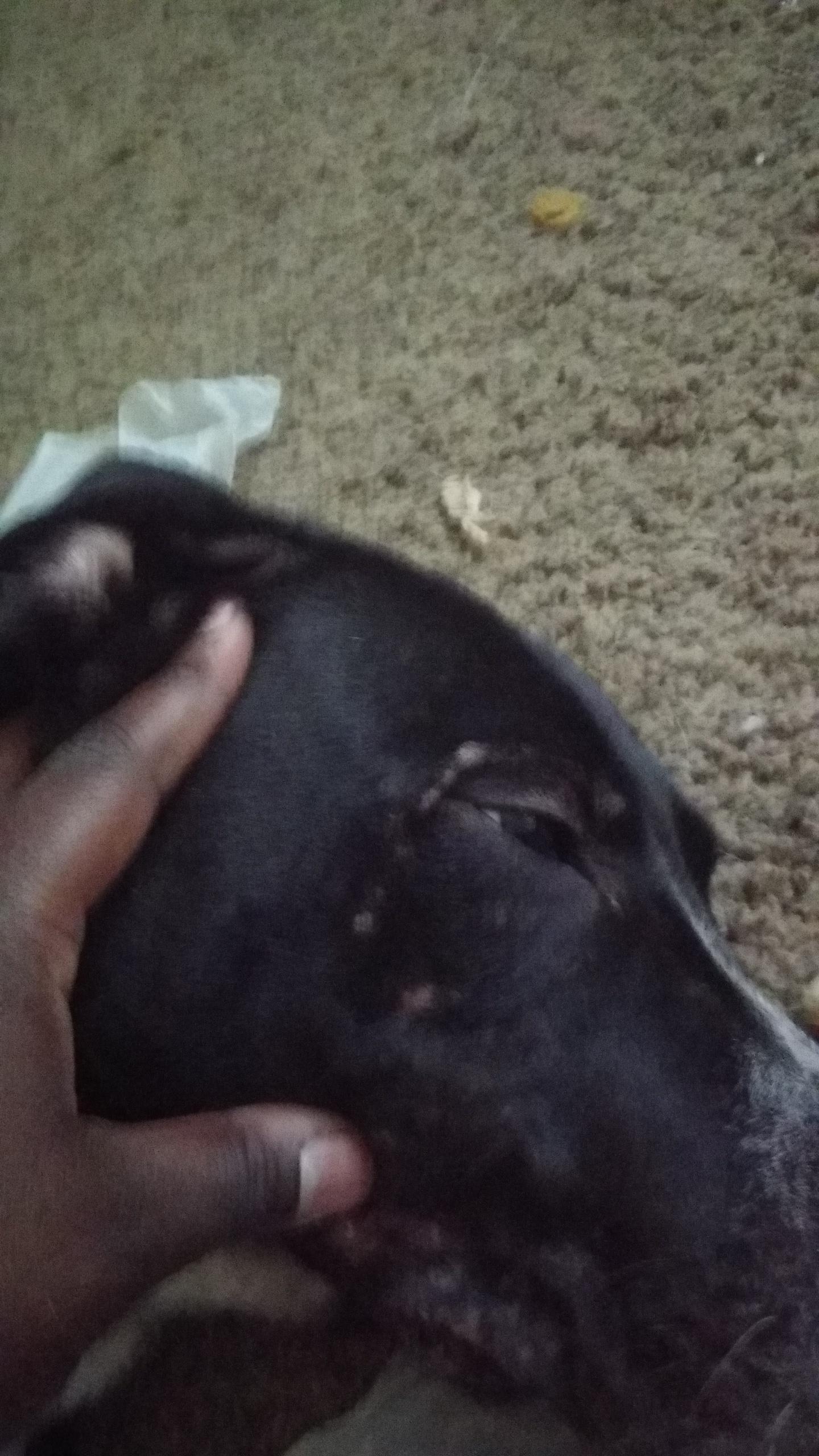 Question details sensitive content