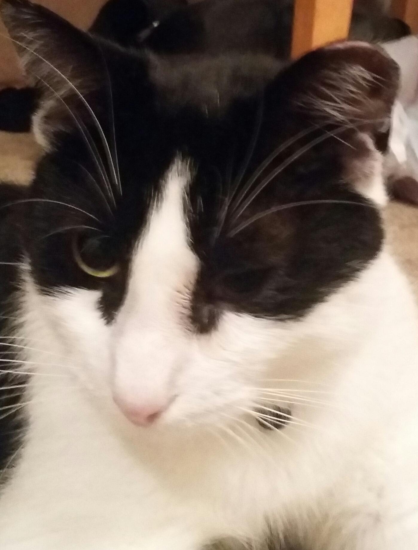 Question details sensitive content