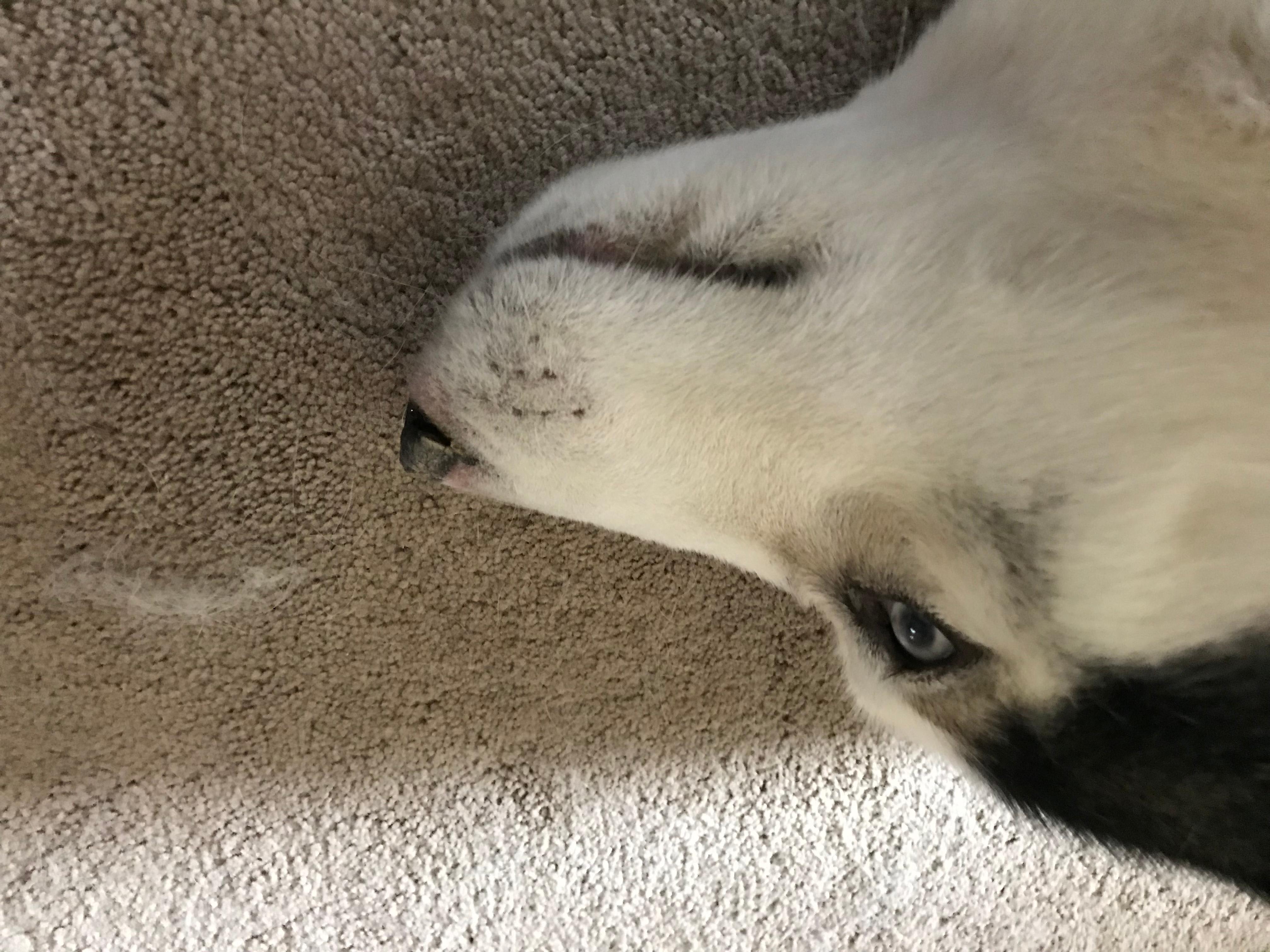 Question details sensitive content