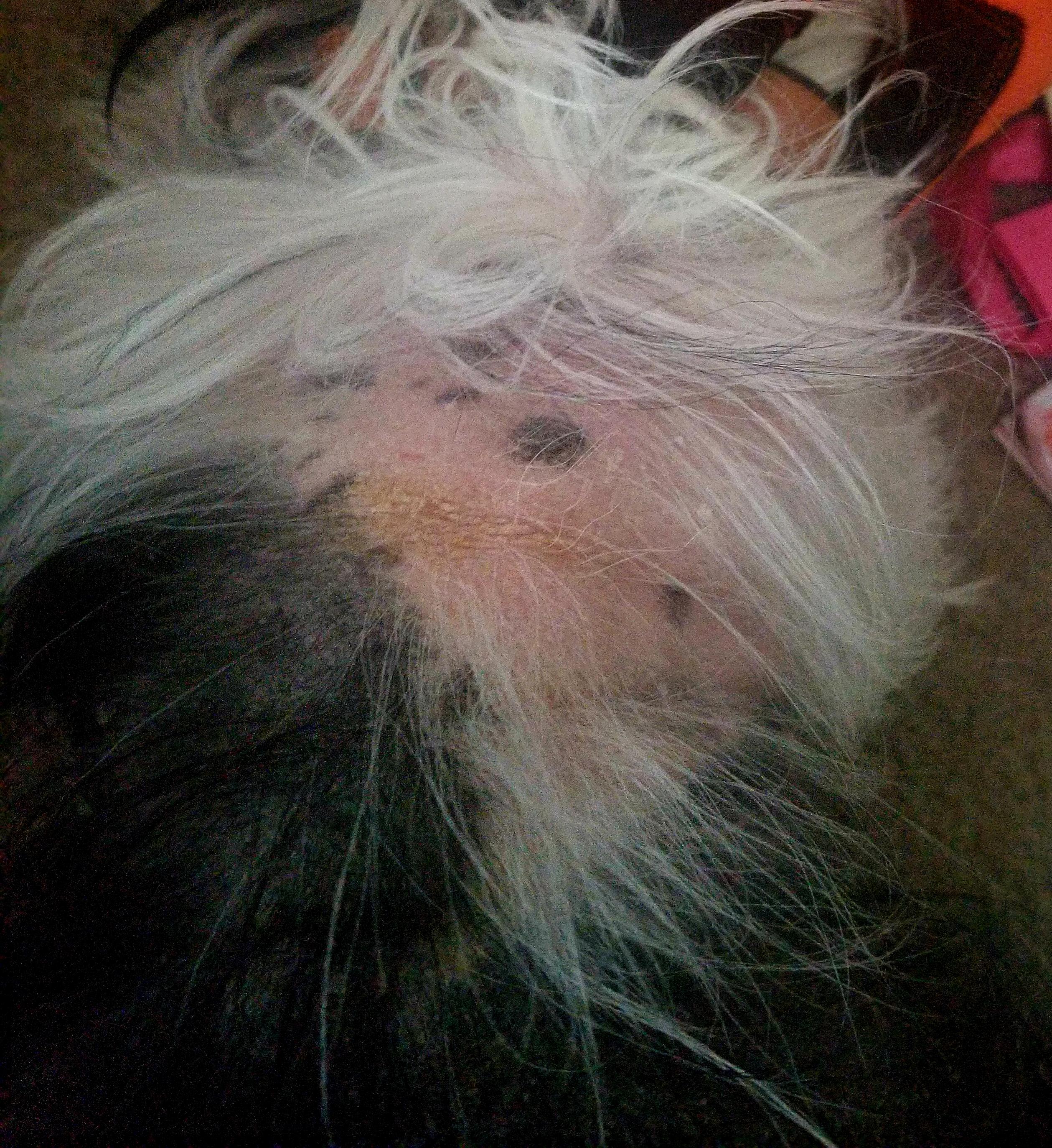 Question details sensitive content