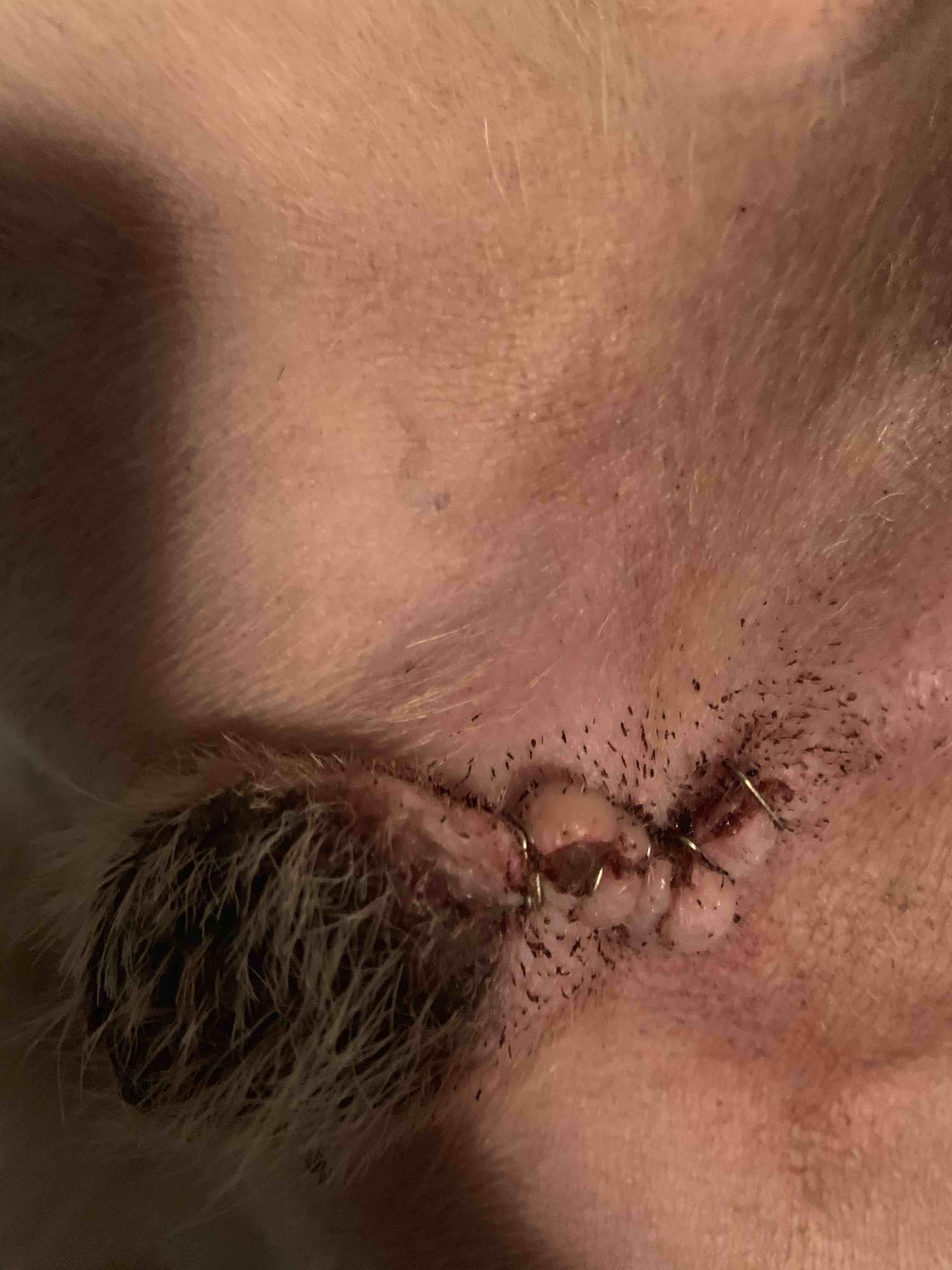 Question details sensitive content