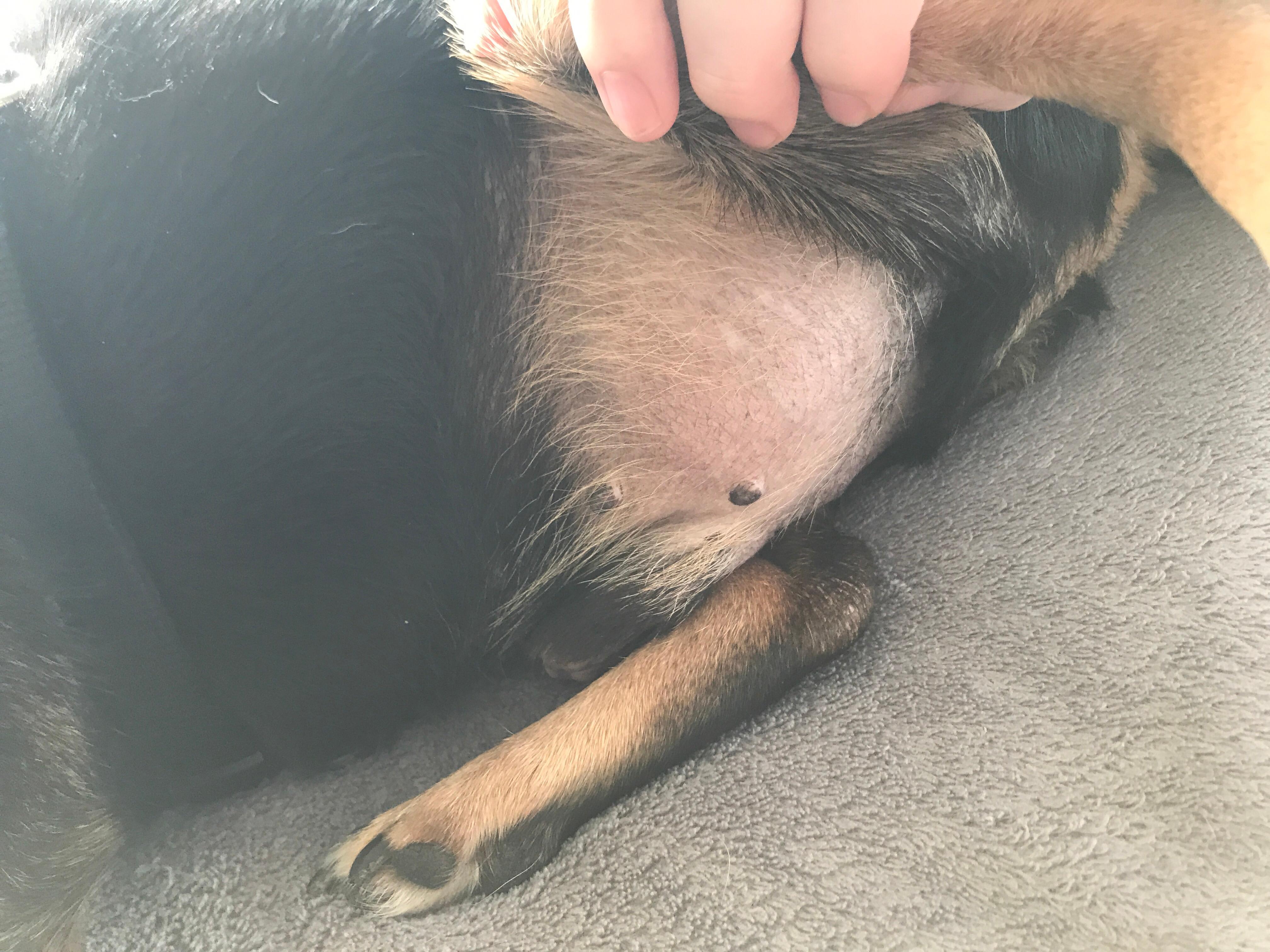 Question details sensitive content