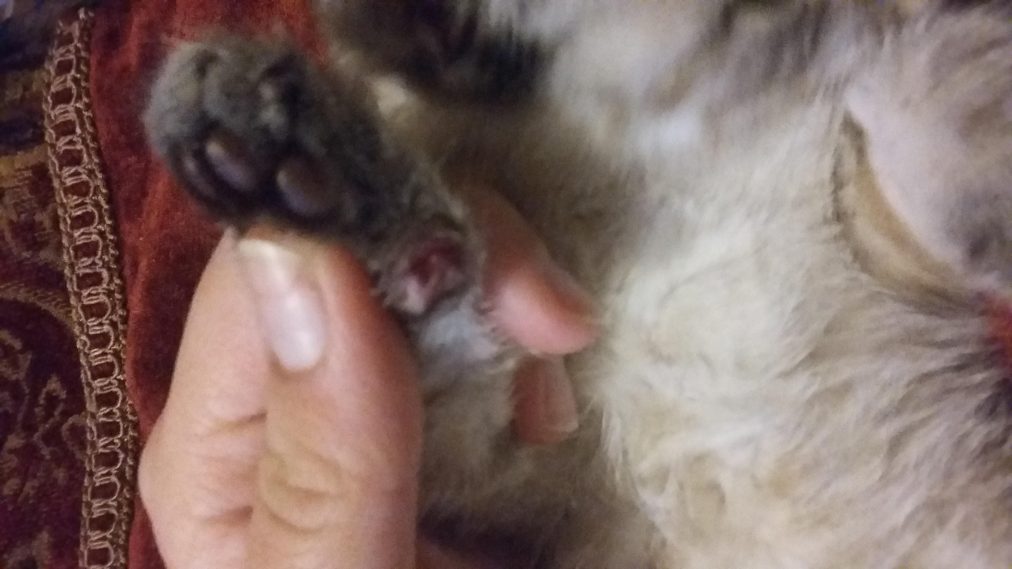 Question details sensitive content