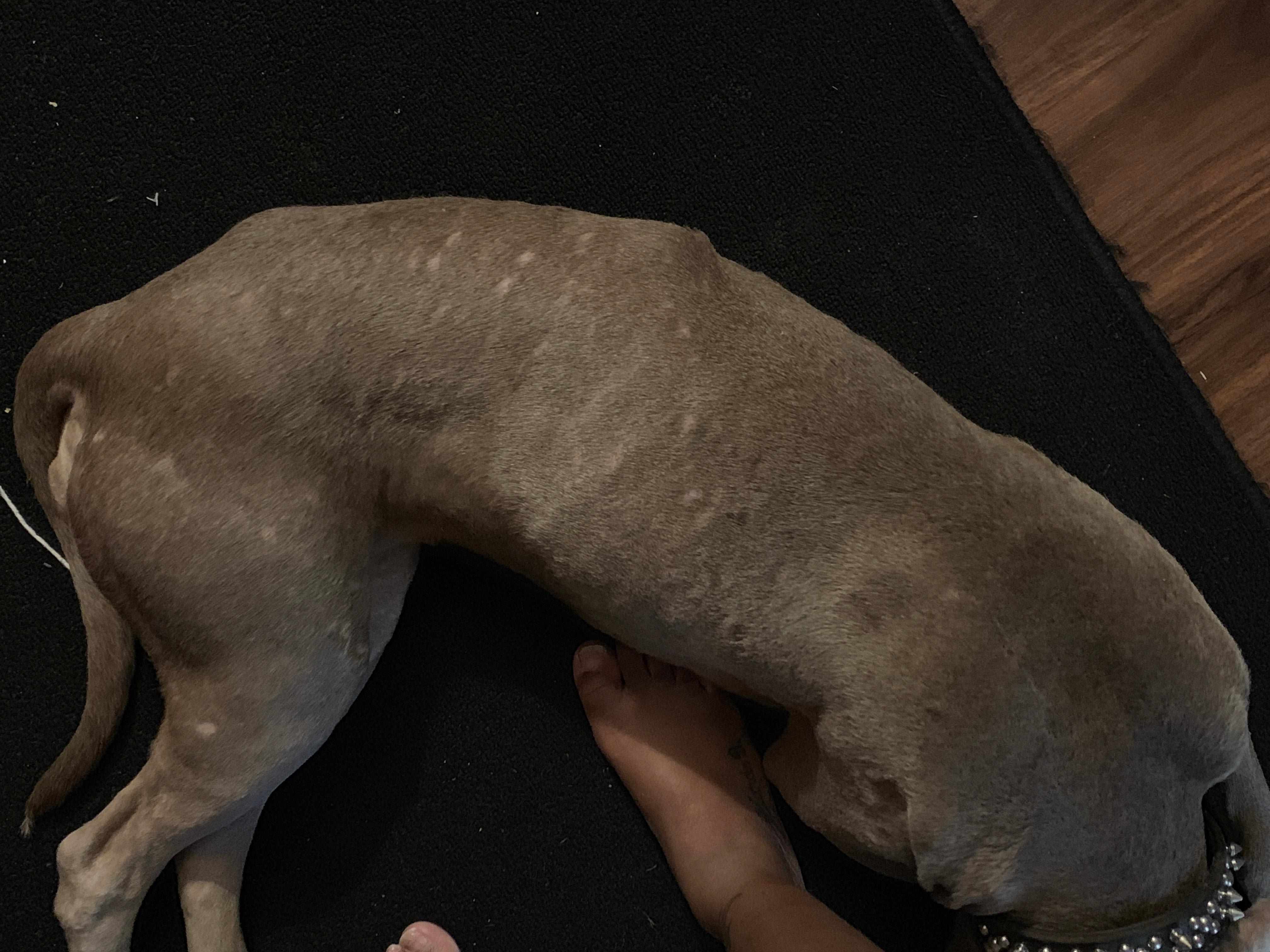 Question details sensitive content