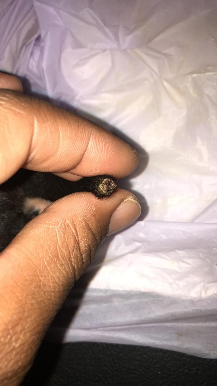 Question details sensitive content