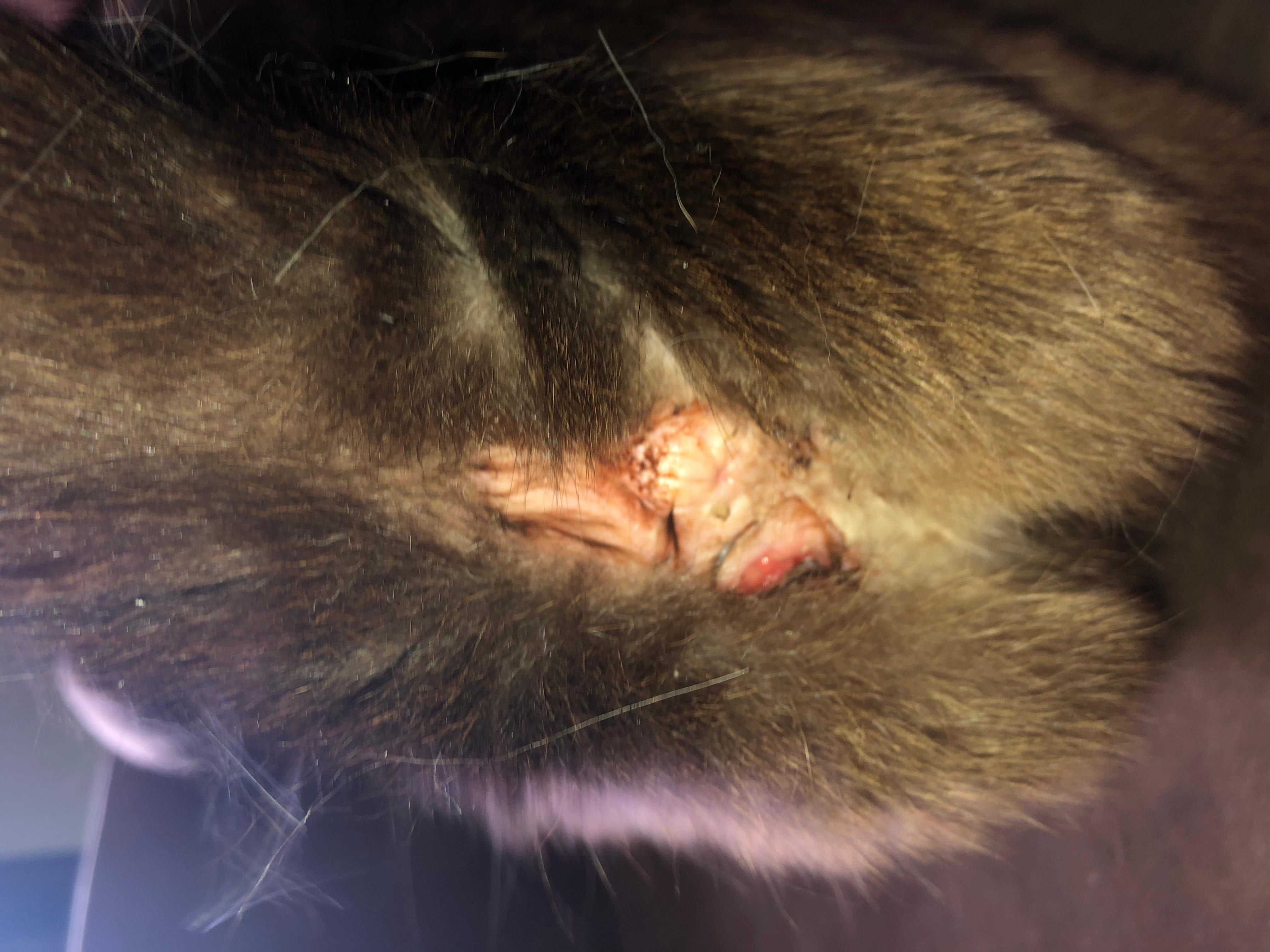 Question details sensitive content