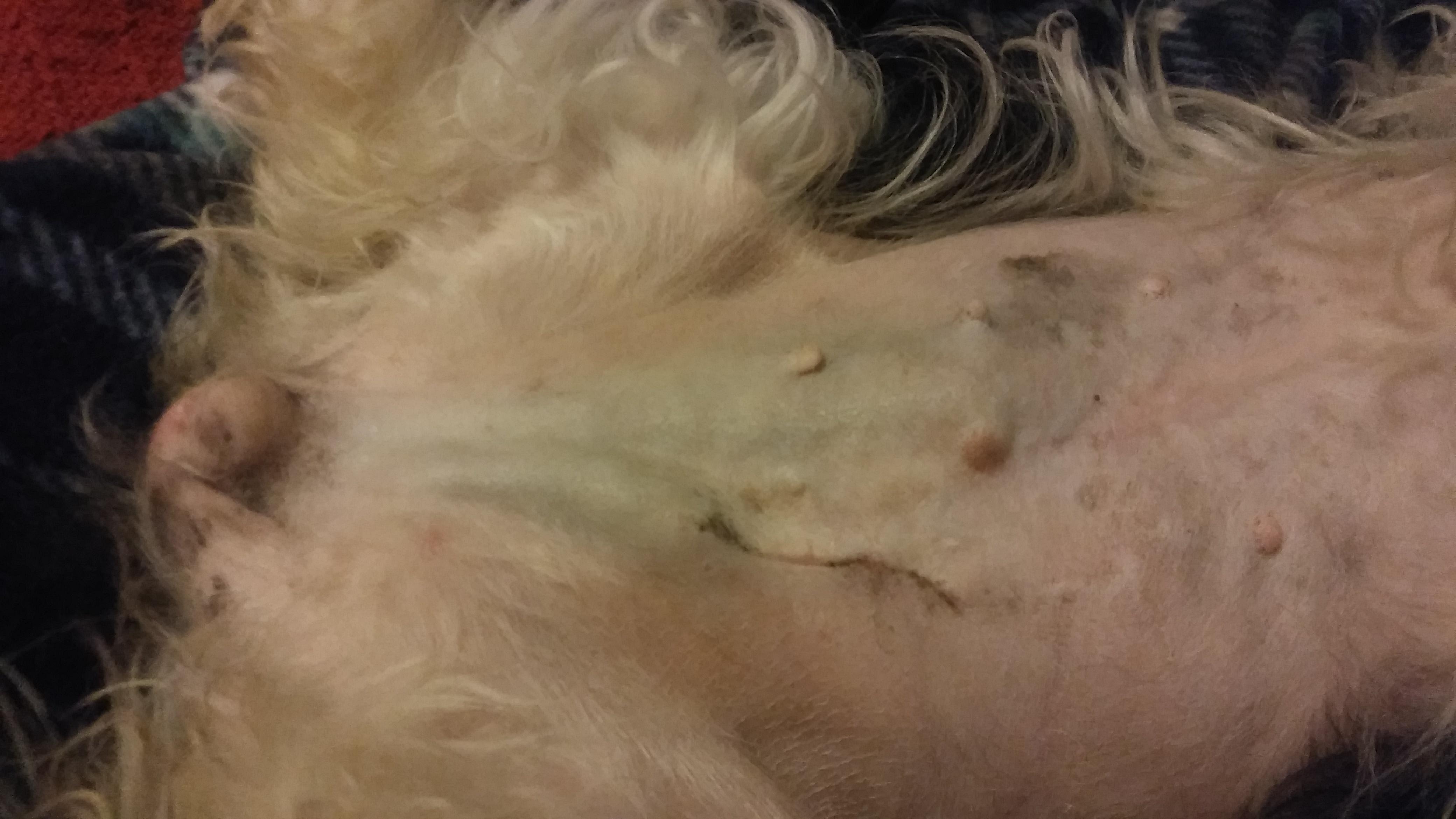 Question details sensitive content