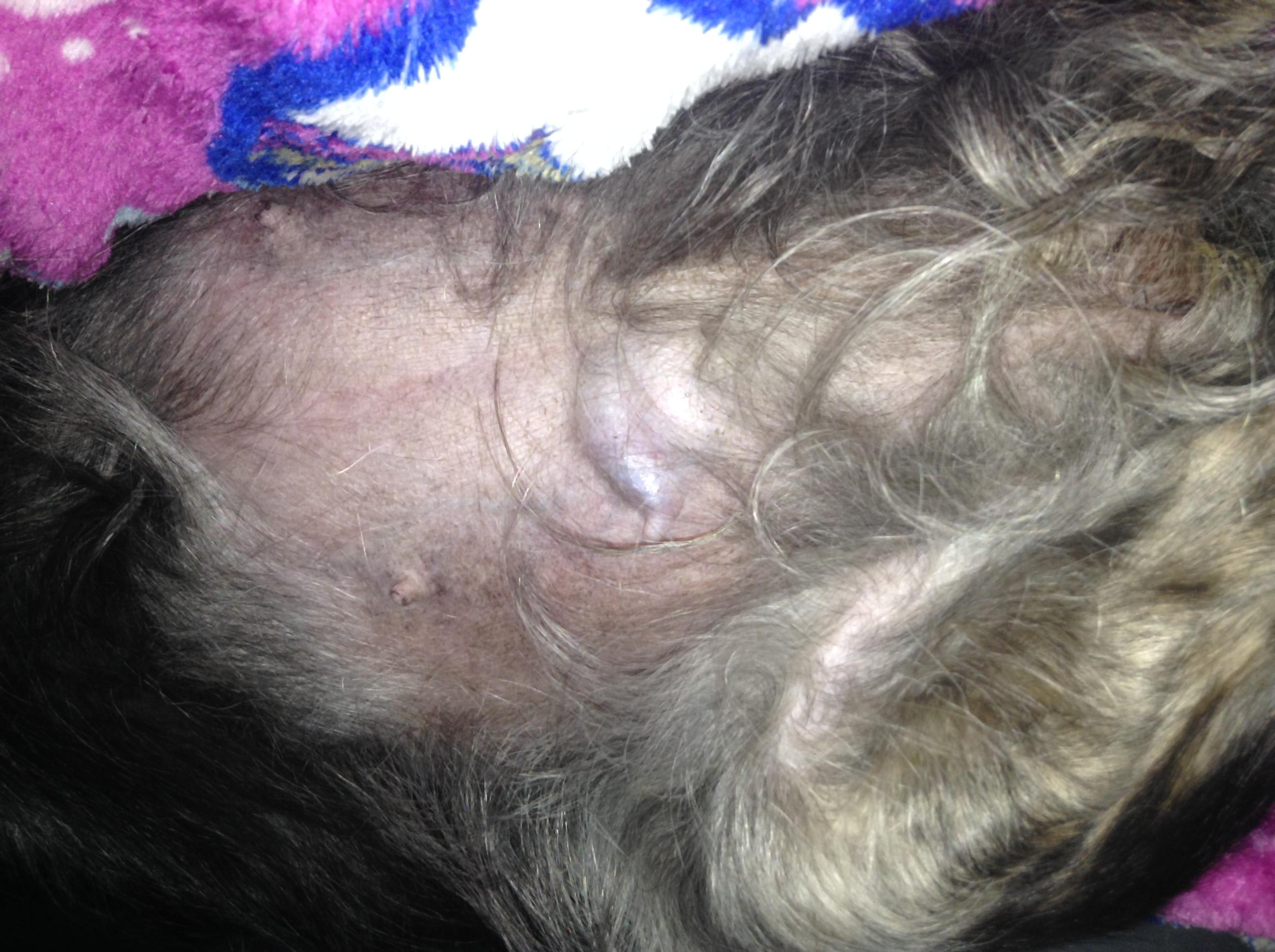 Question details sensitive content