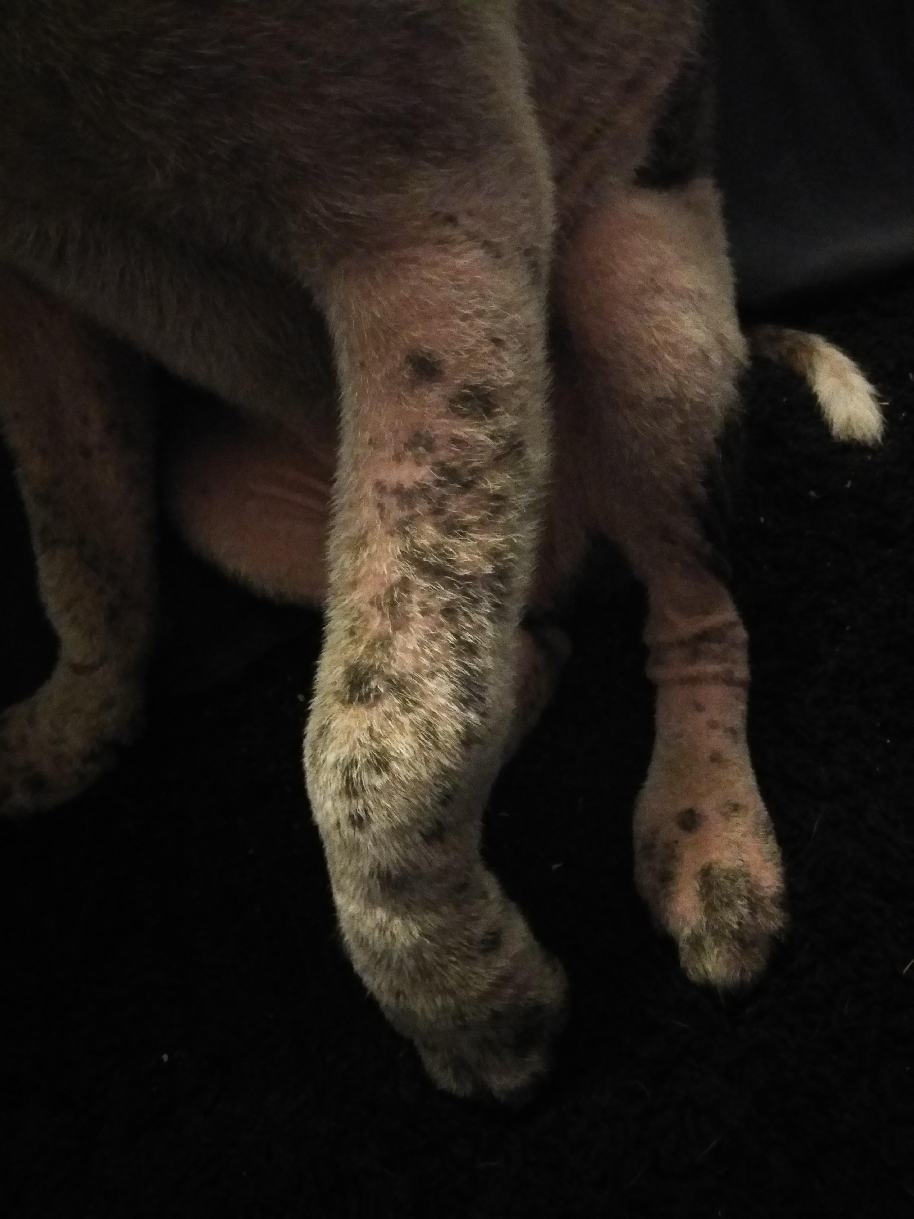 Question details sensitive content