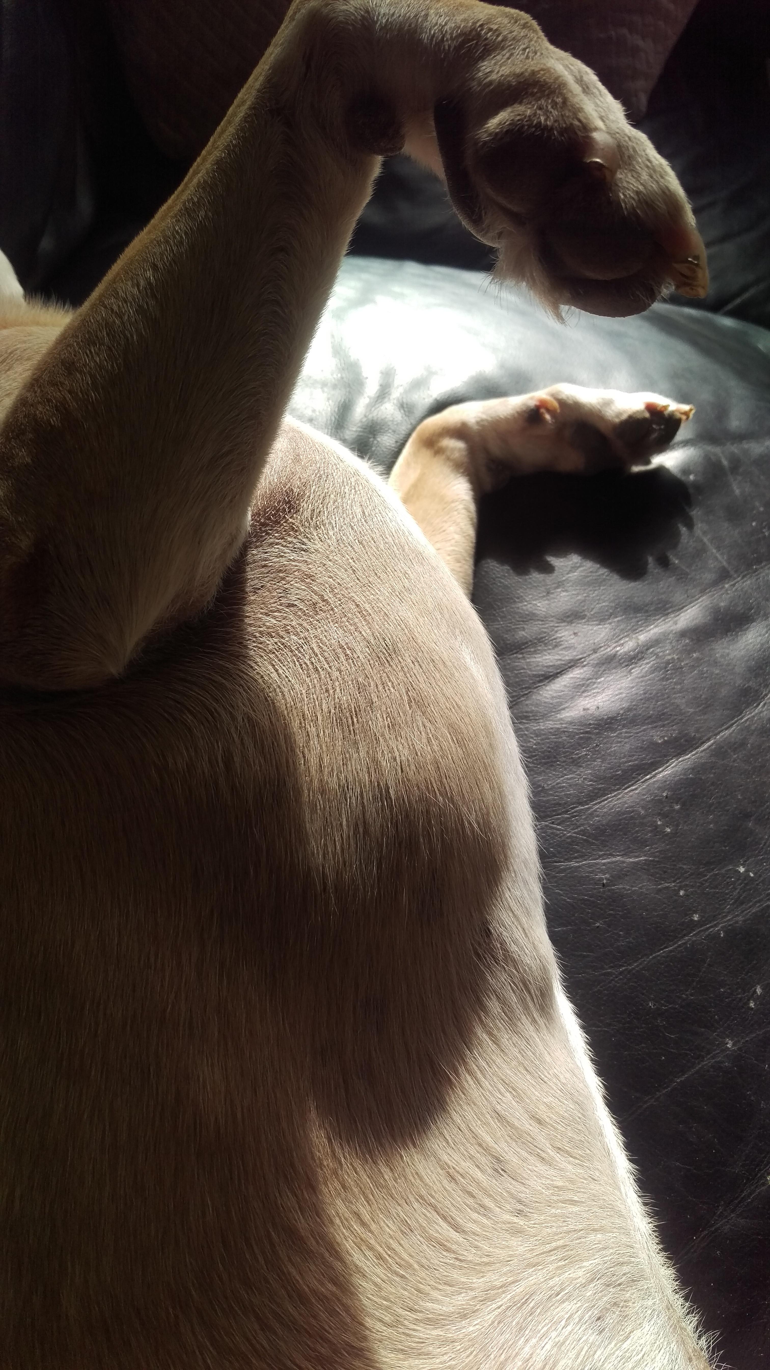 Question details sensitive content