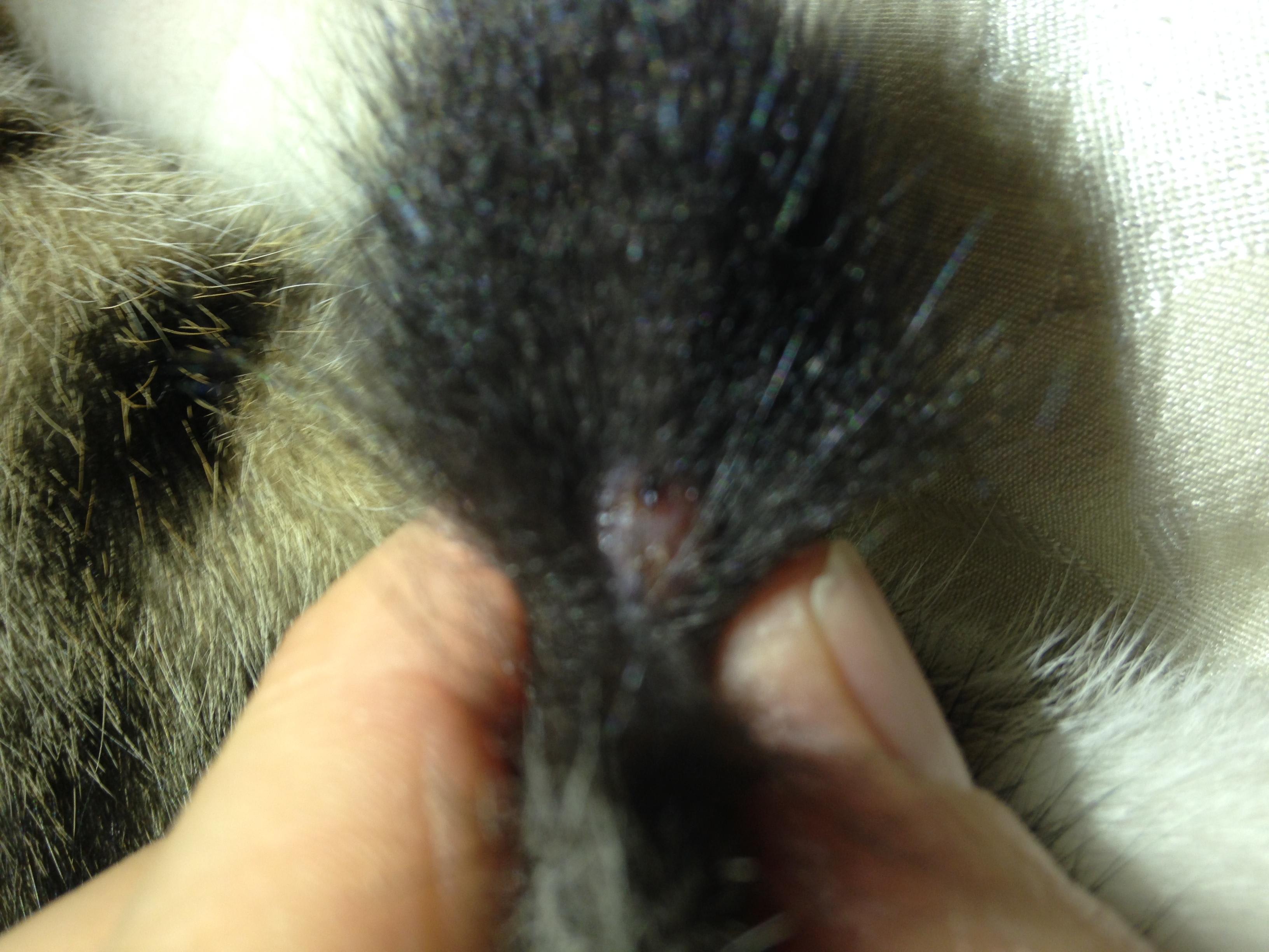 Question details sensitive content