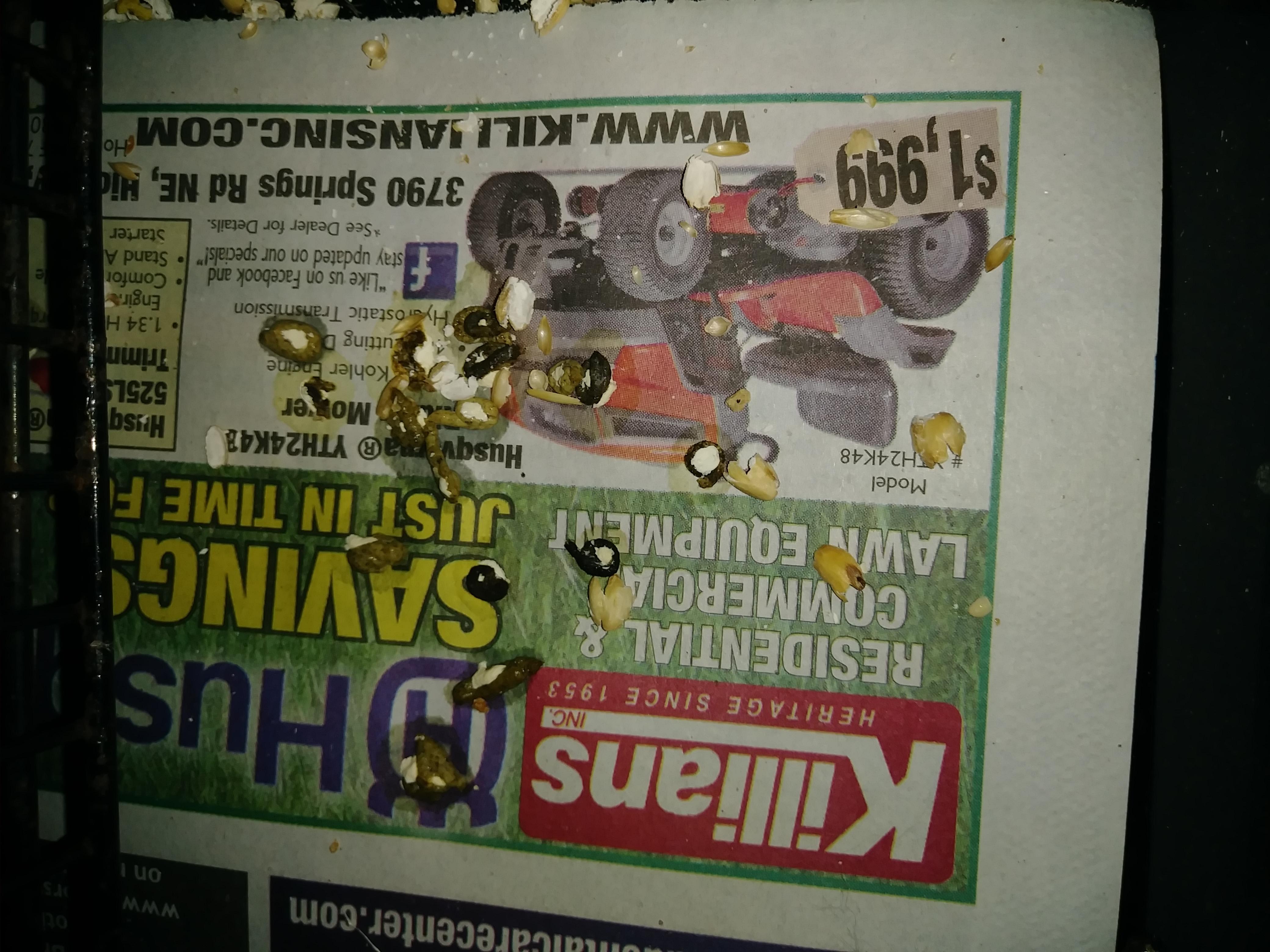 Question details sensitive content