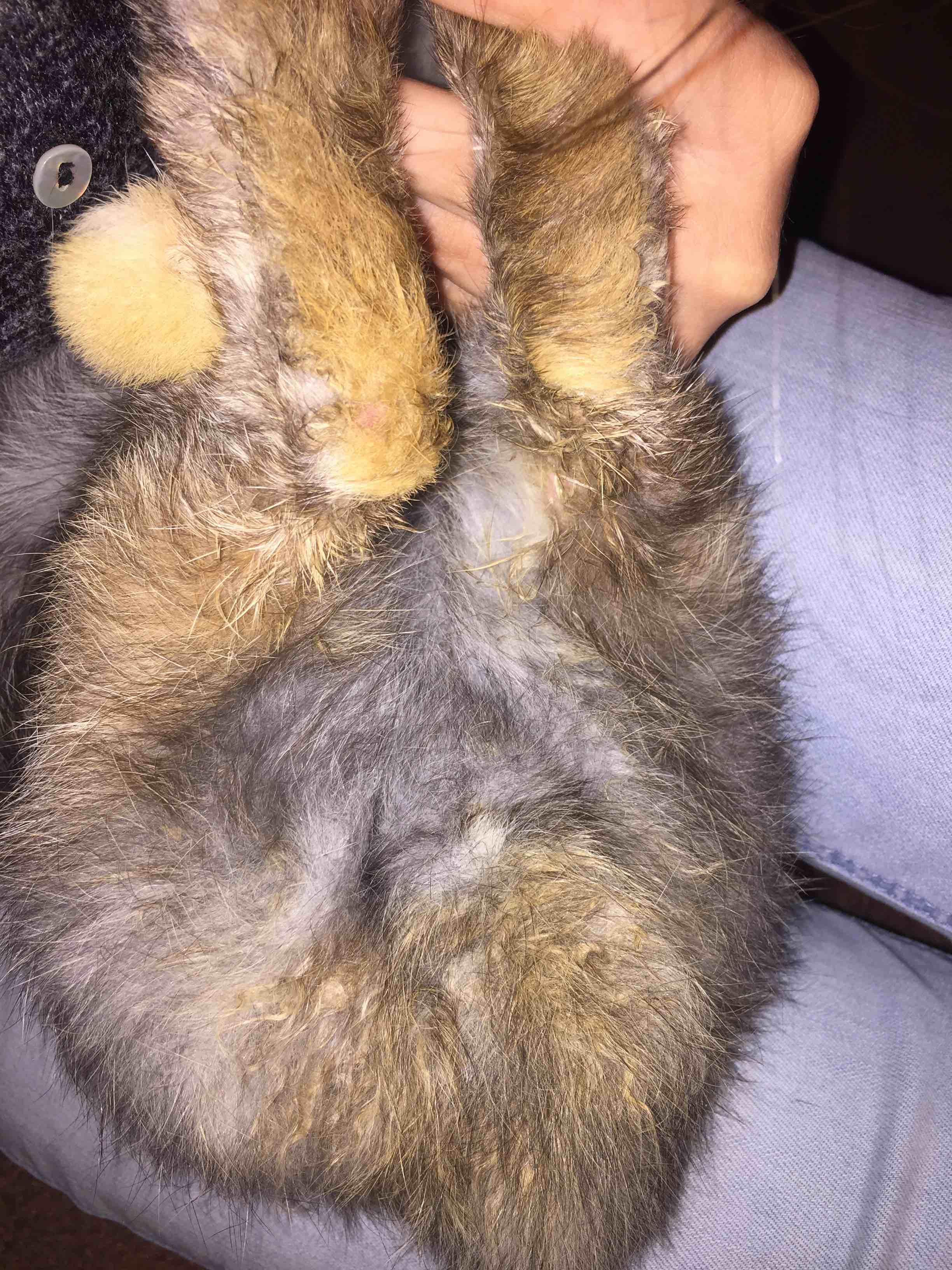 Question details sensitive content