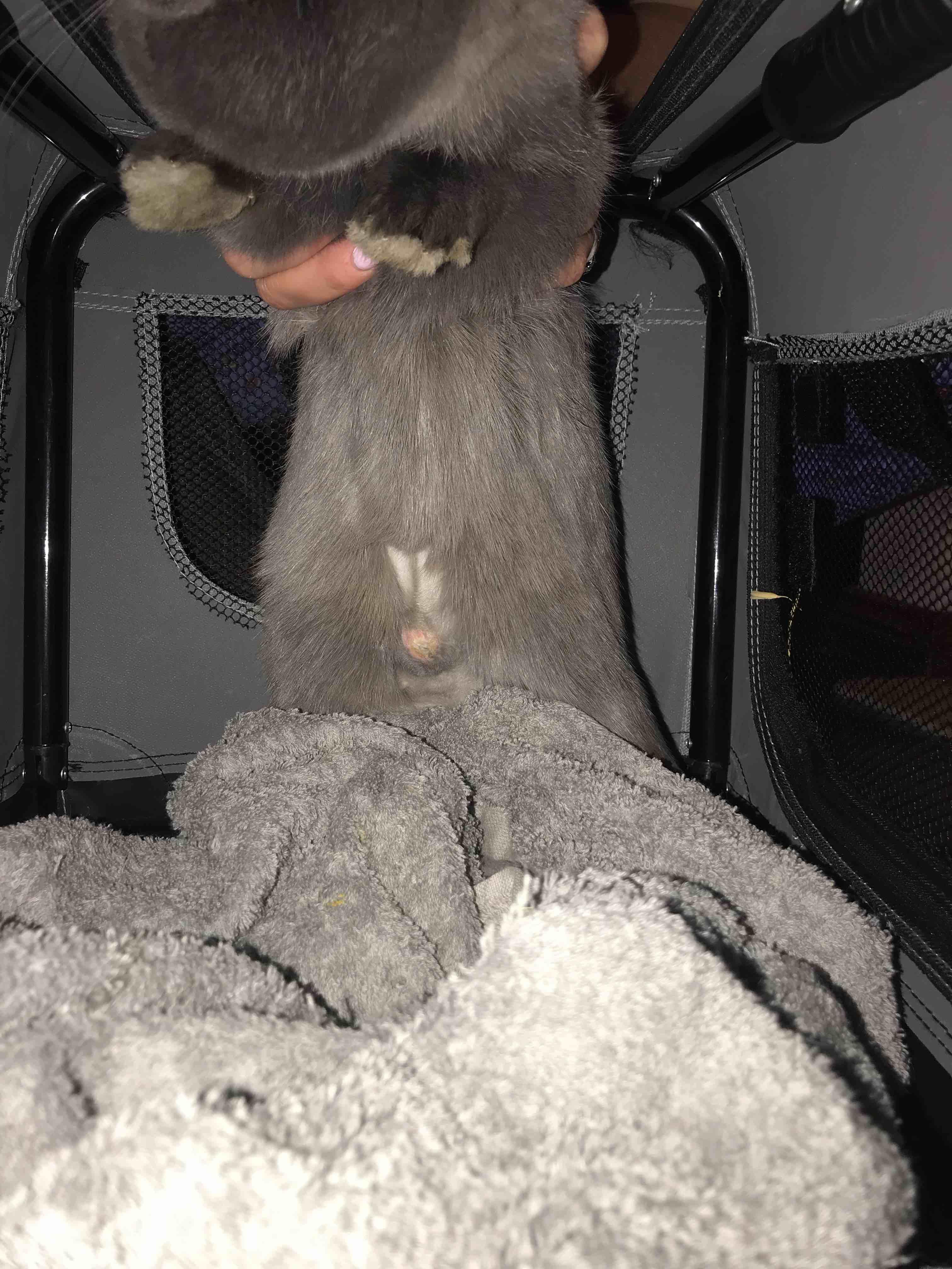 Question details sensitive content