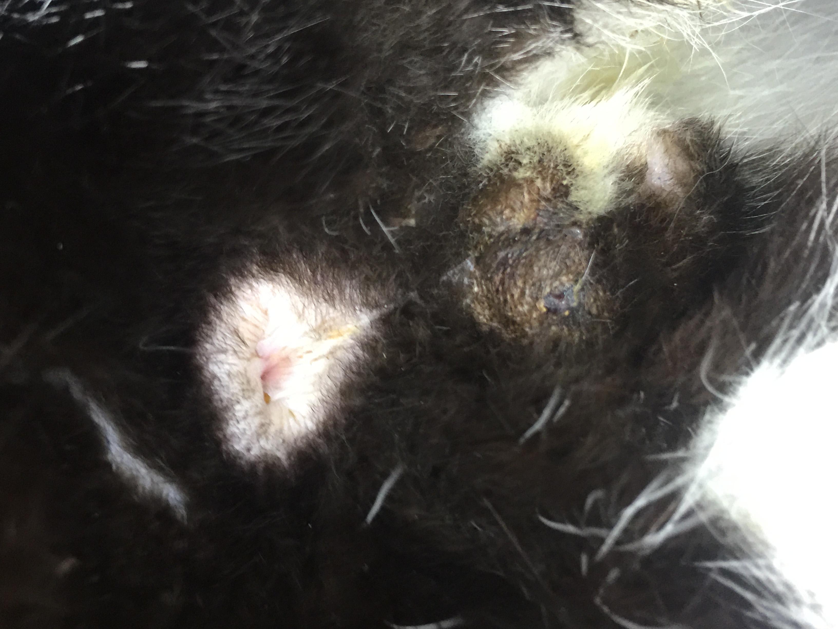 Question details sensitive content