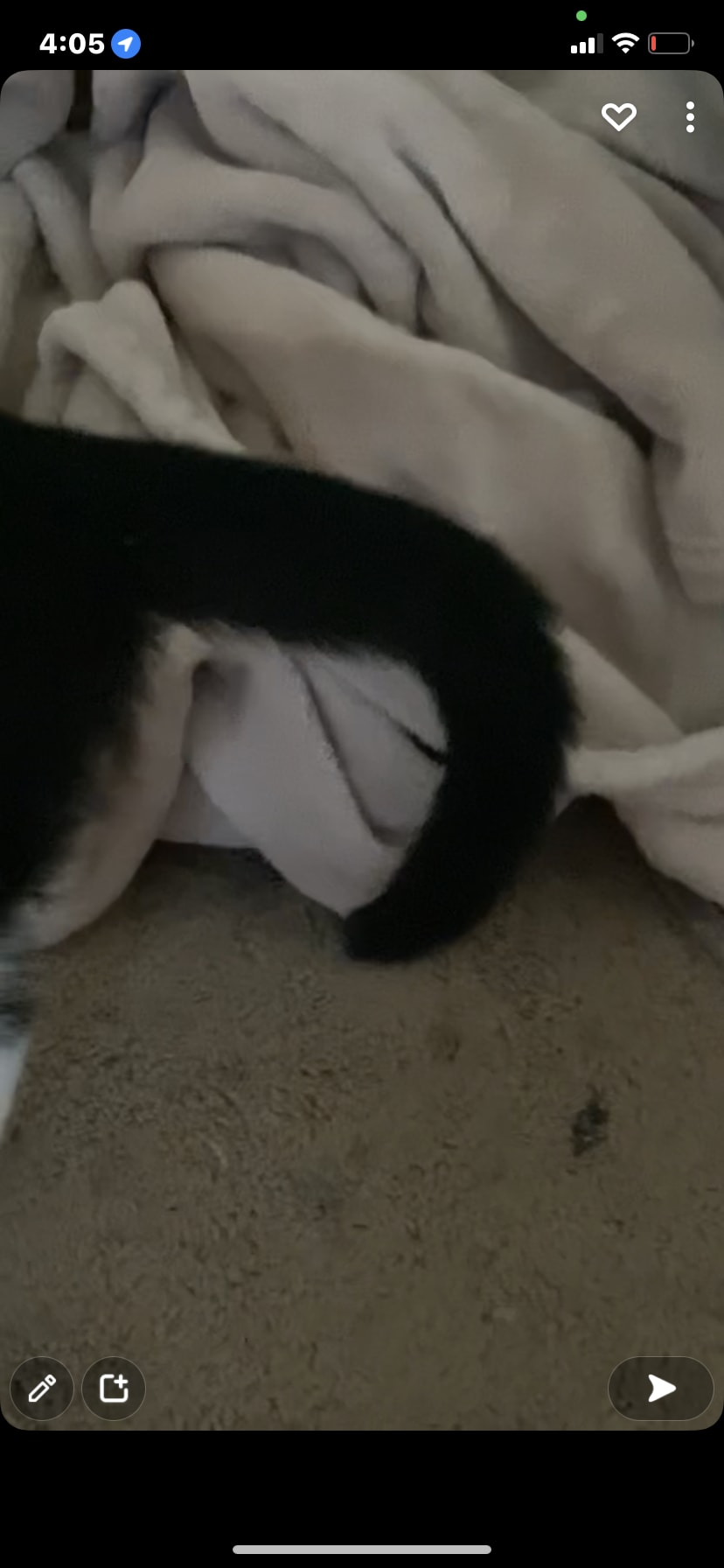 Question details sensitive content