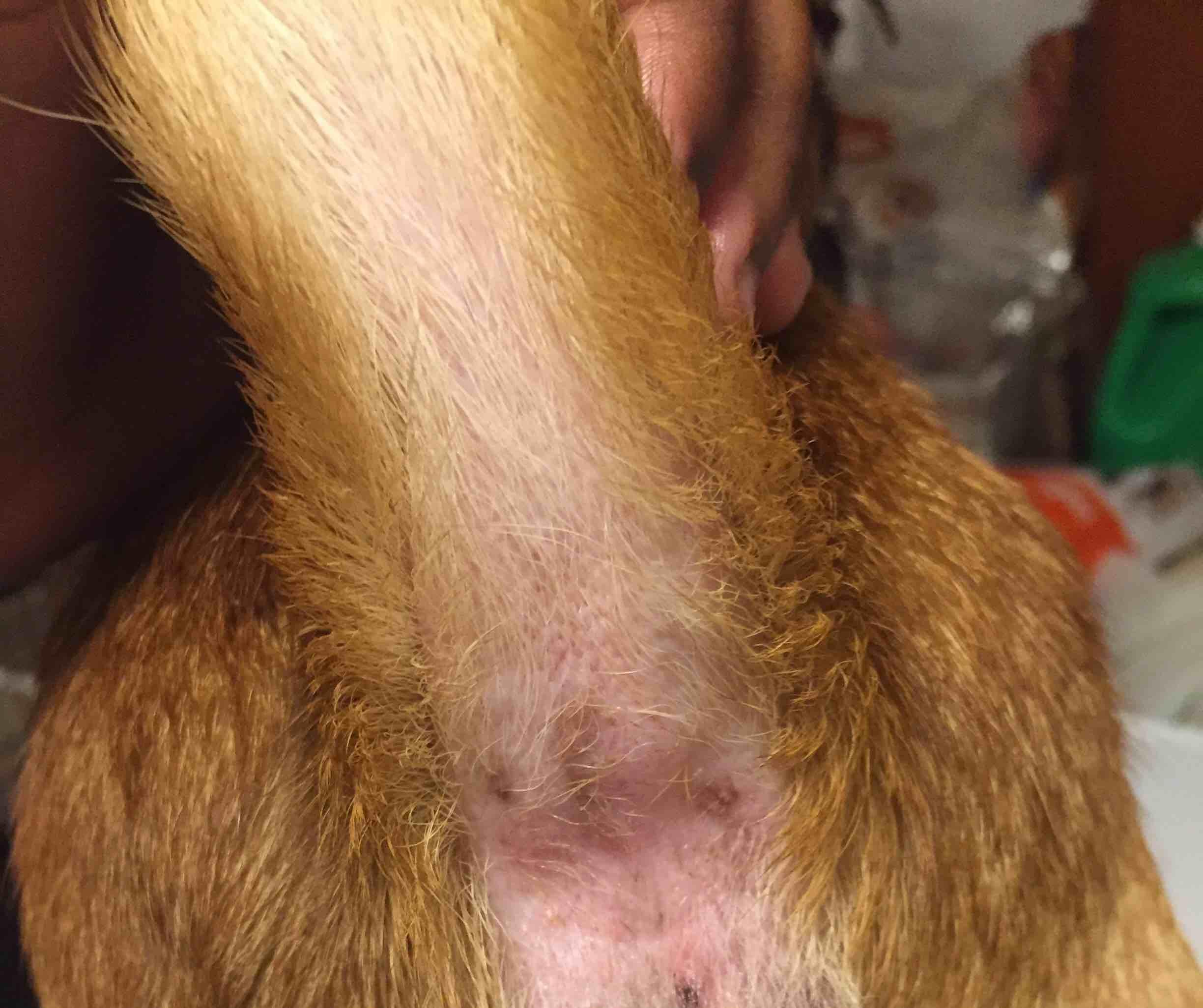 Question details sensitive content