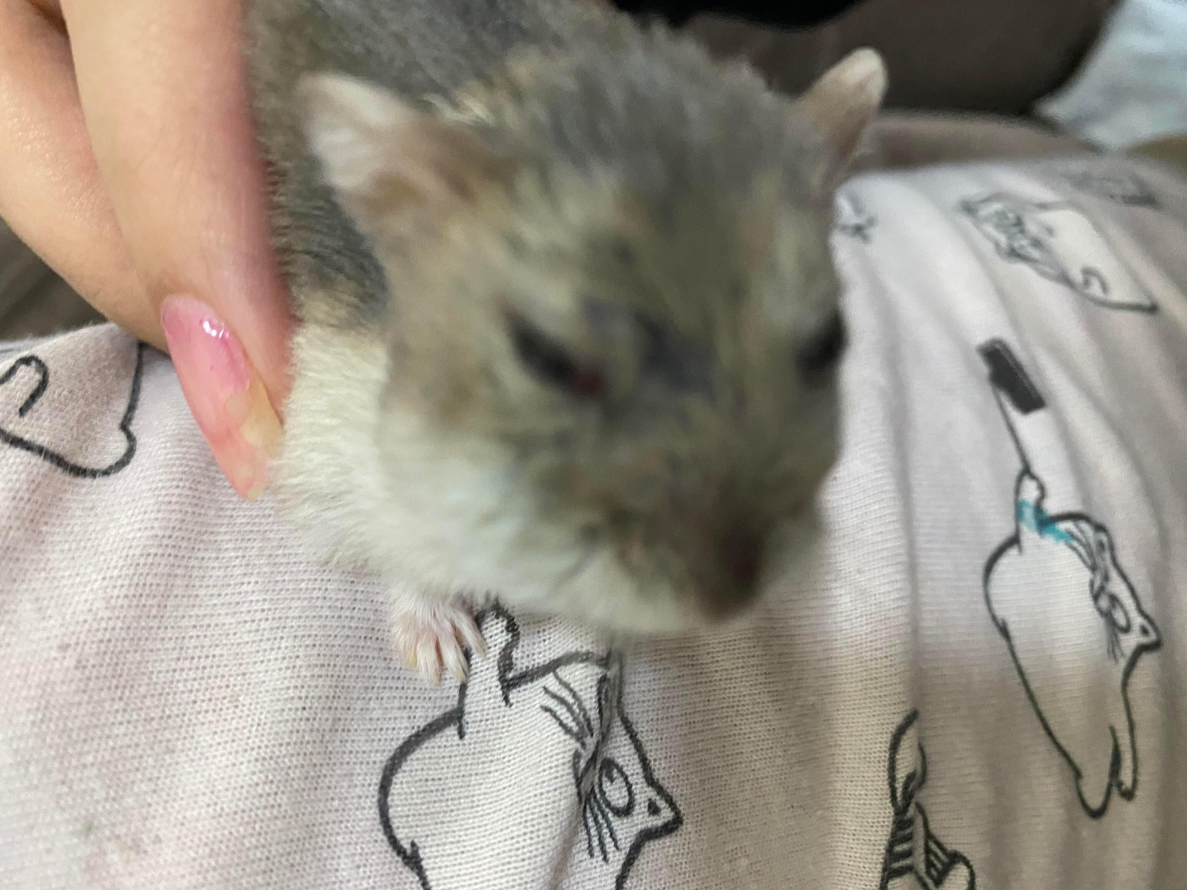 Question details sensitive content