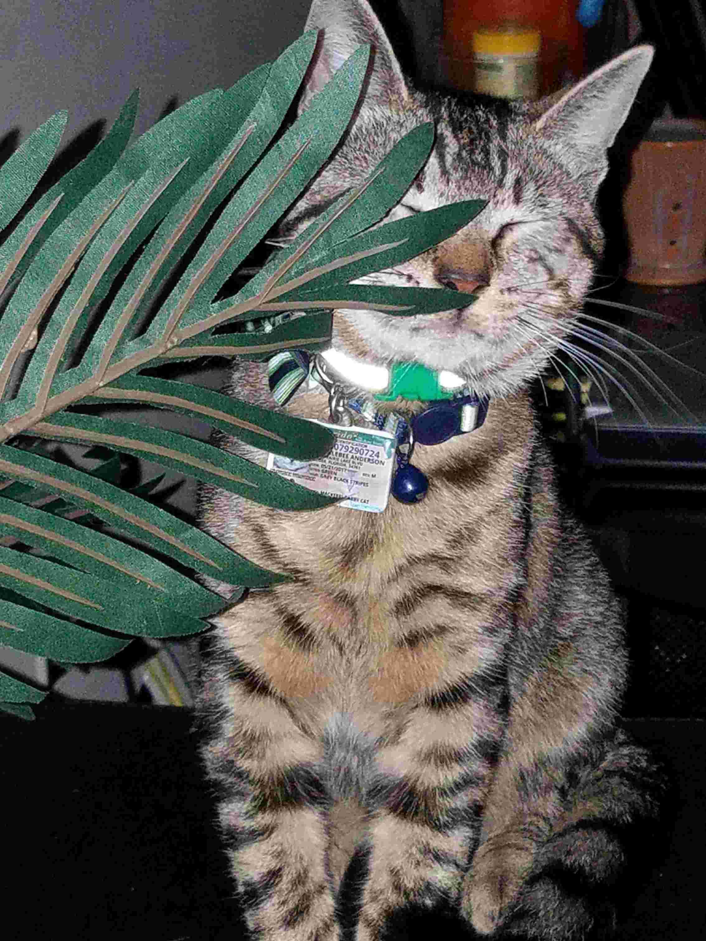 Question details sensitive content