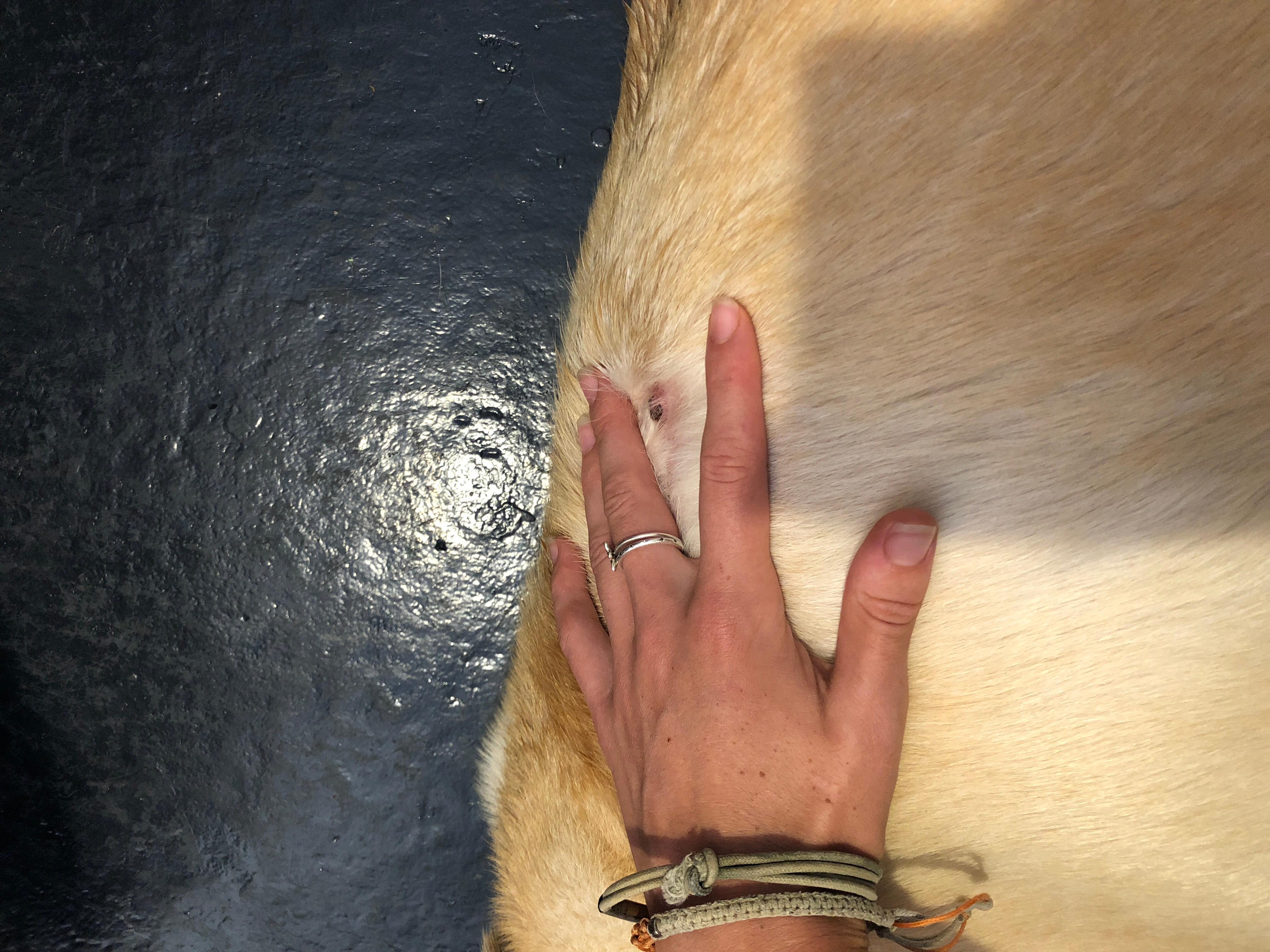 Question details sensitive content