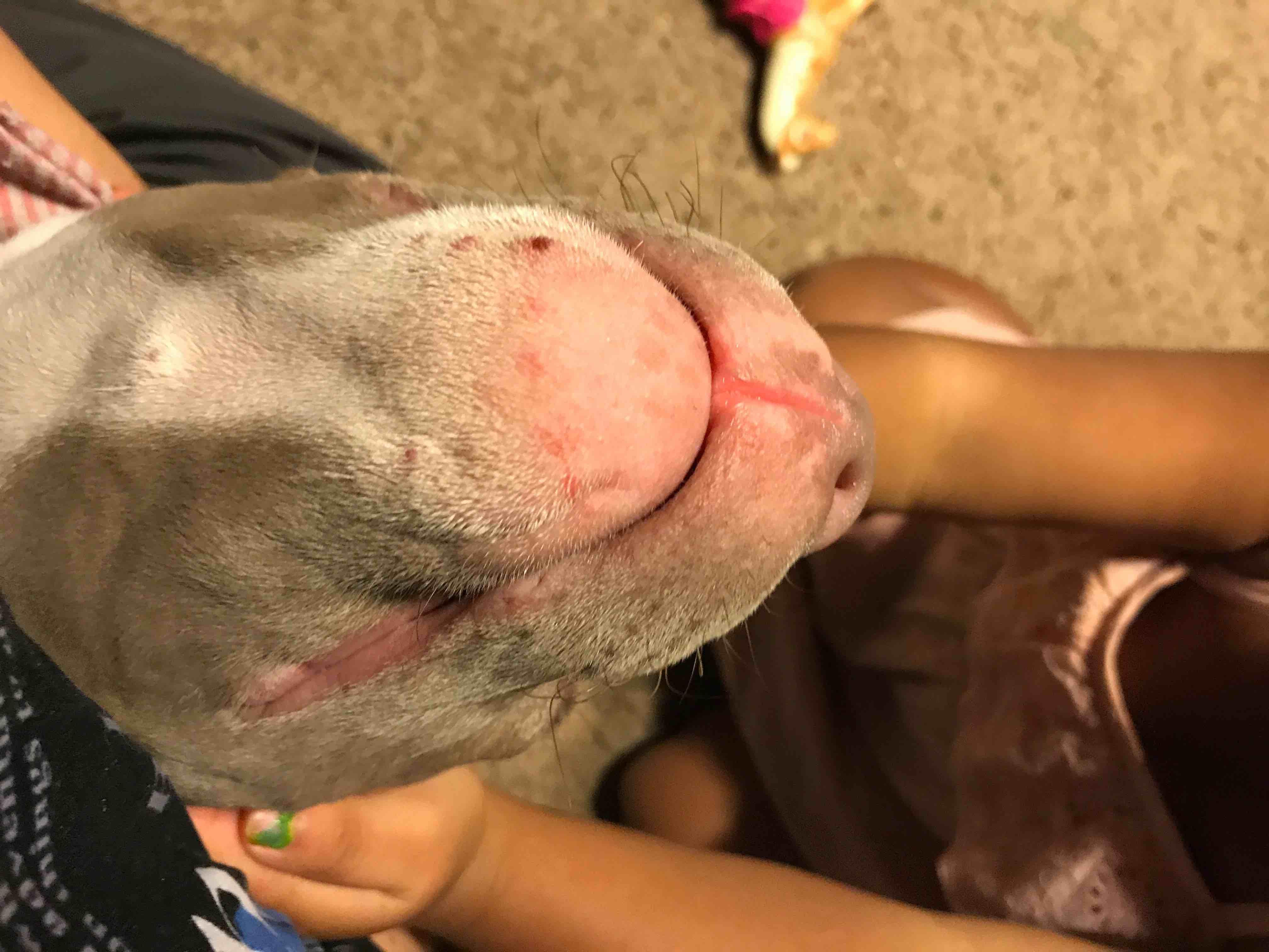 Question details sensitive content