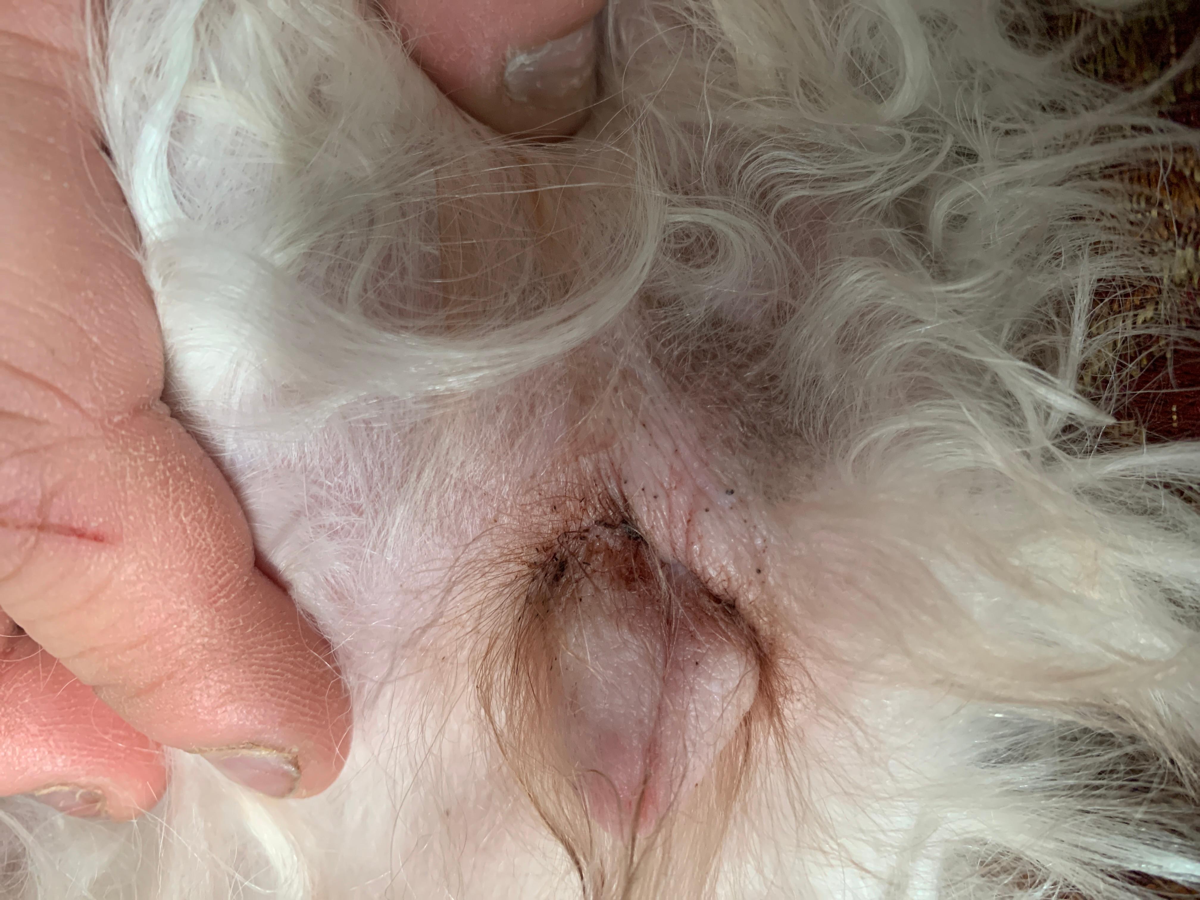 Question details sensitive content