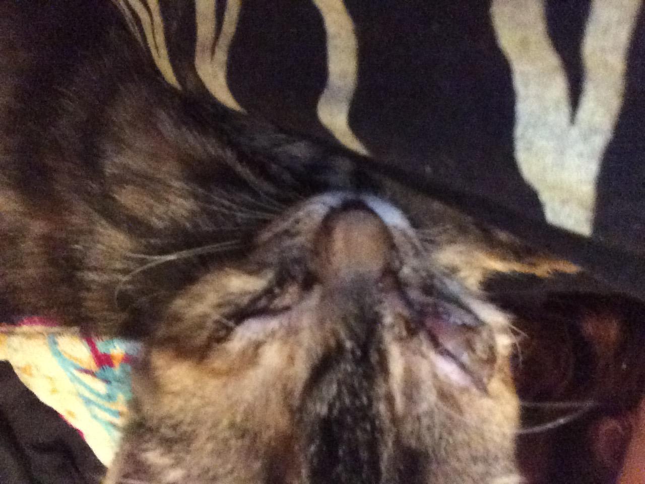 Question details sensitive content