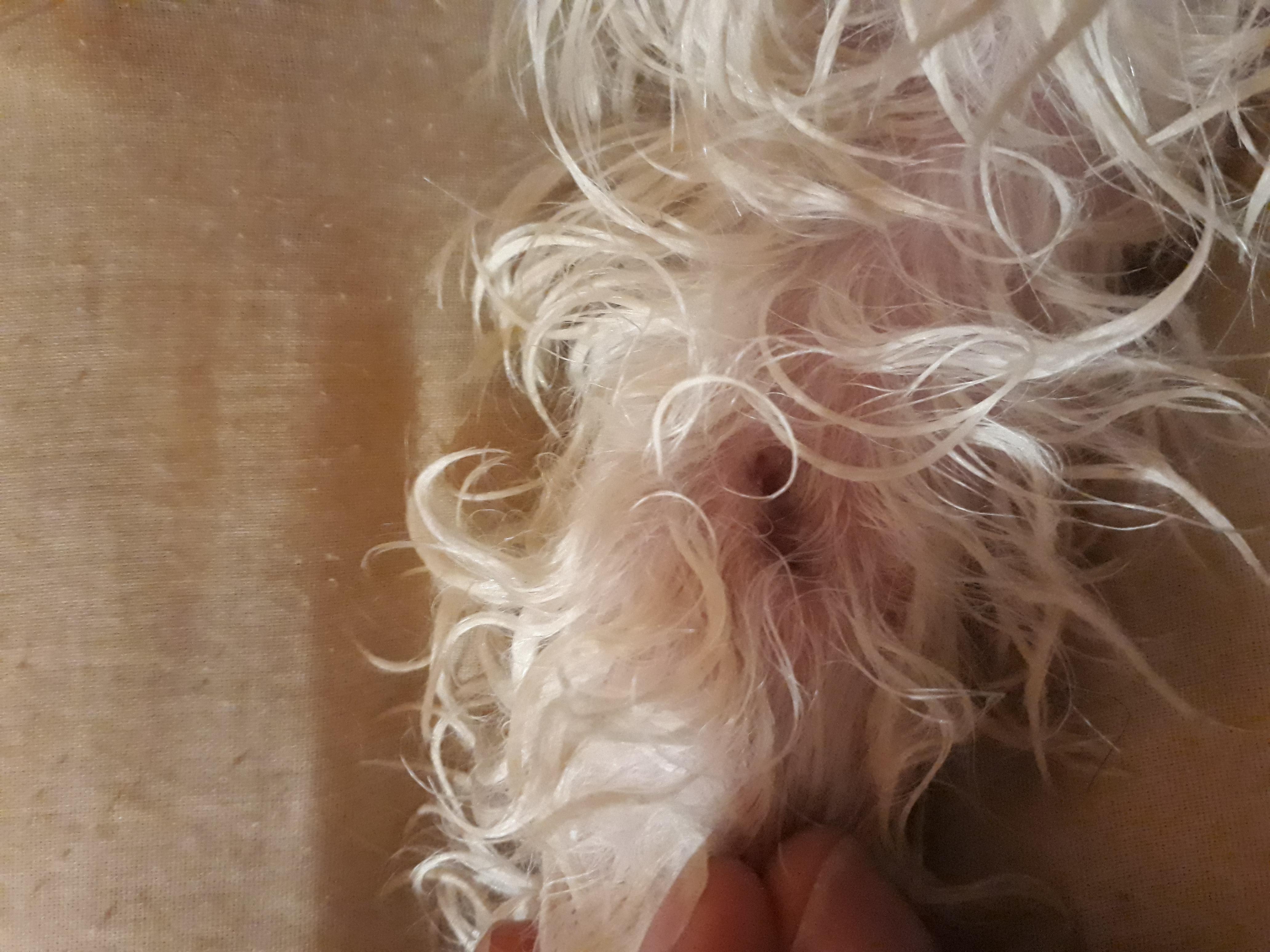 Question details sensitive content