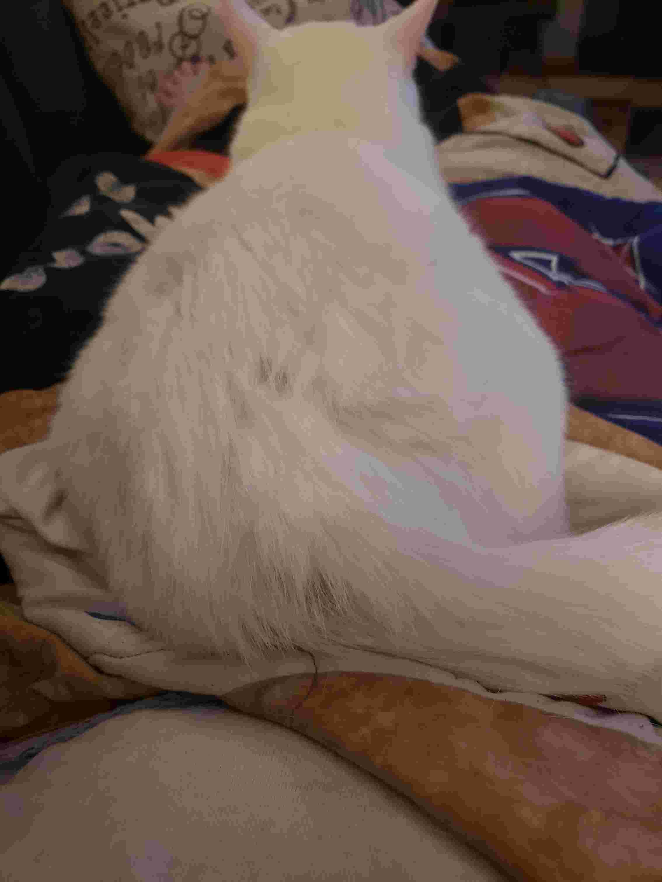 Question details sensitive content