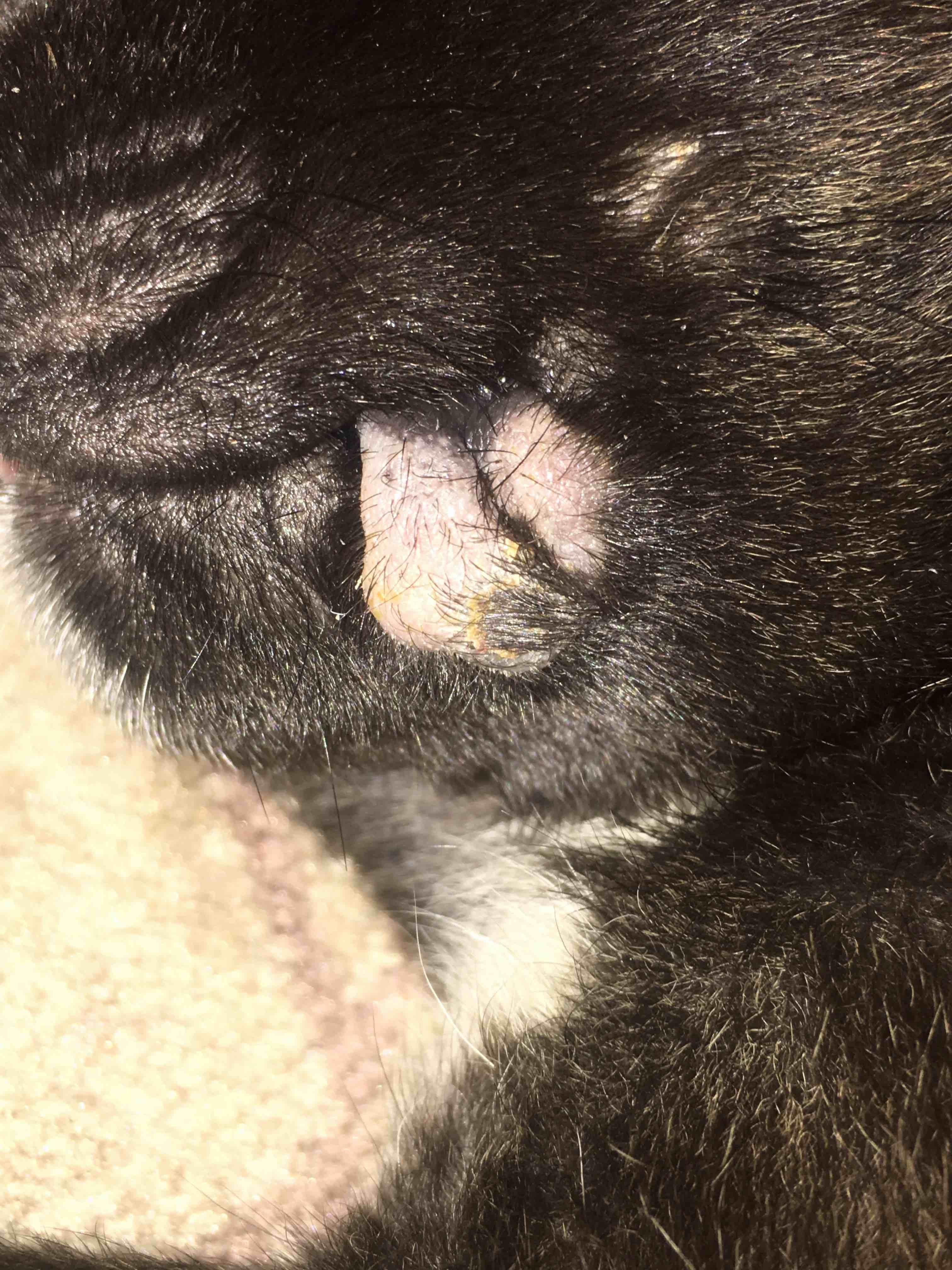 Question details sensitive content