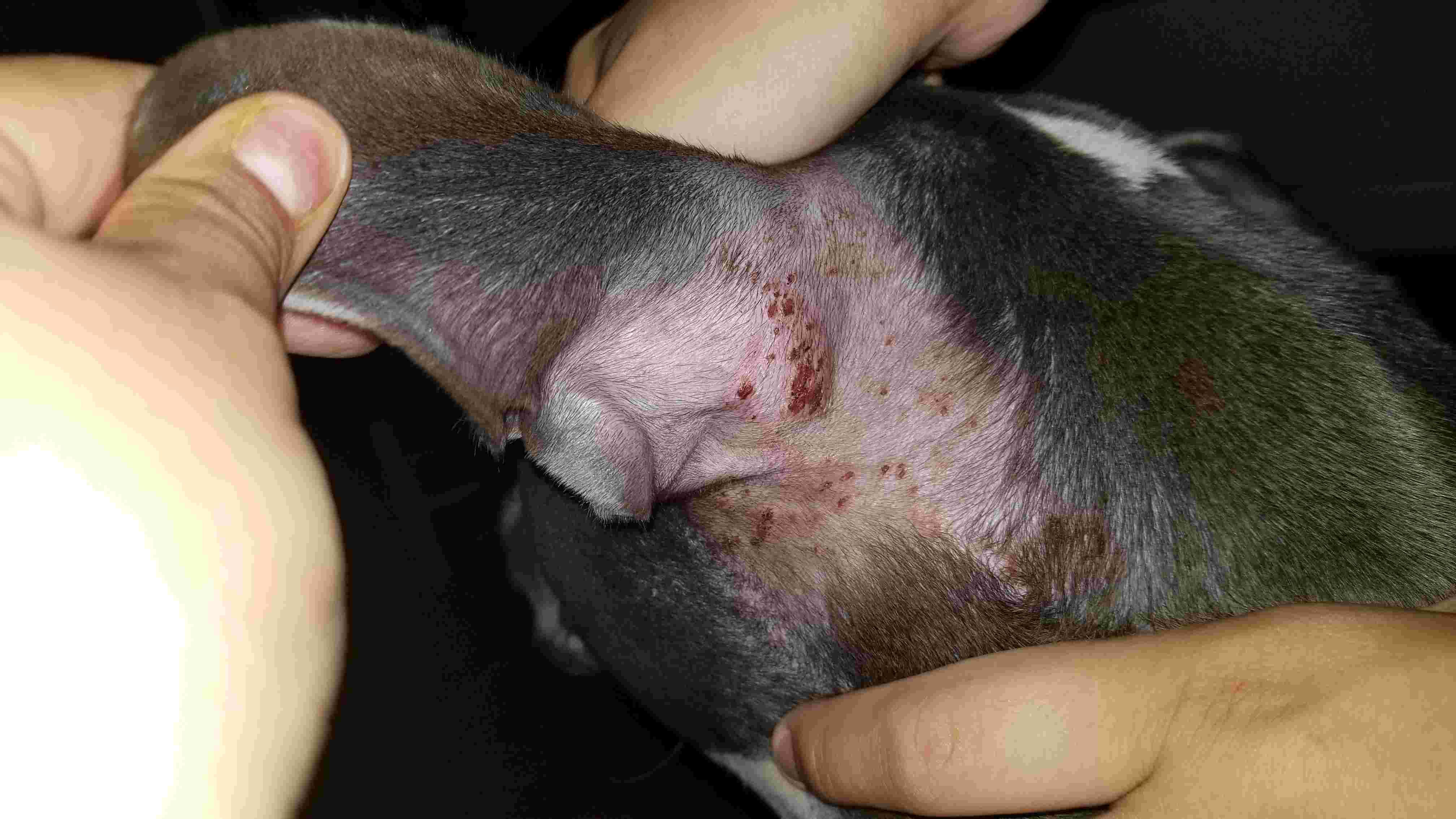 Question details sensitive content