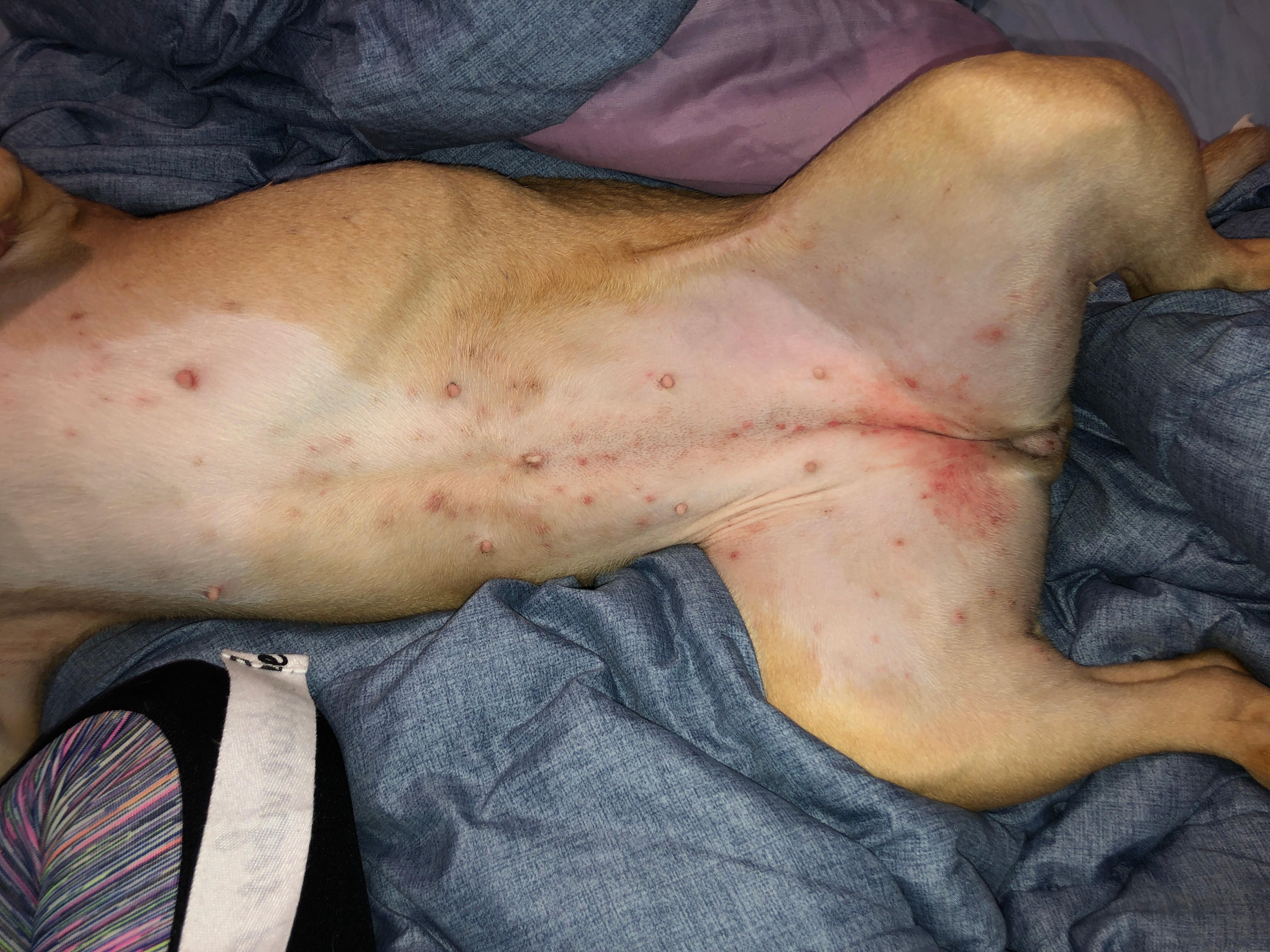 Question details sensitive content