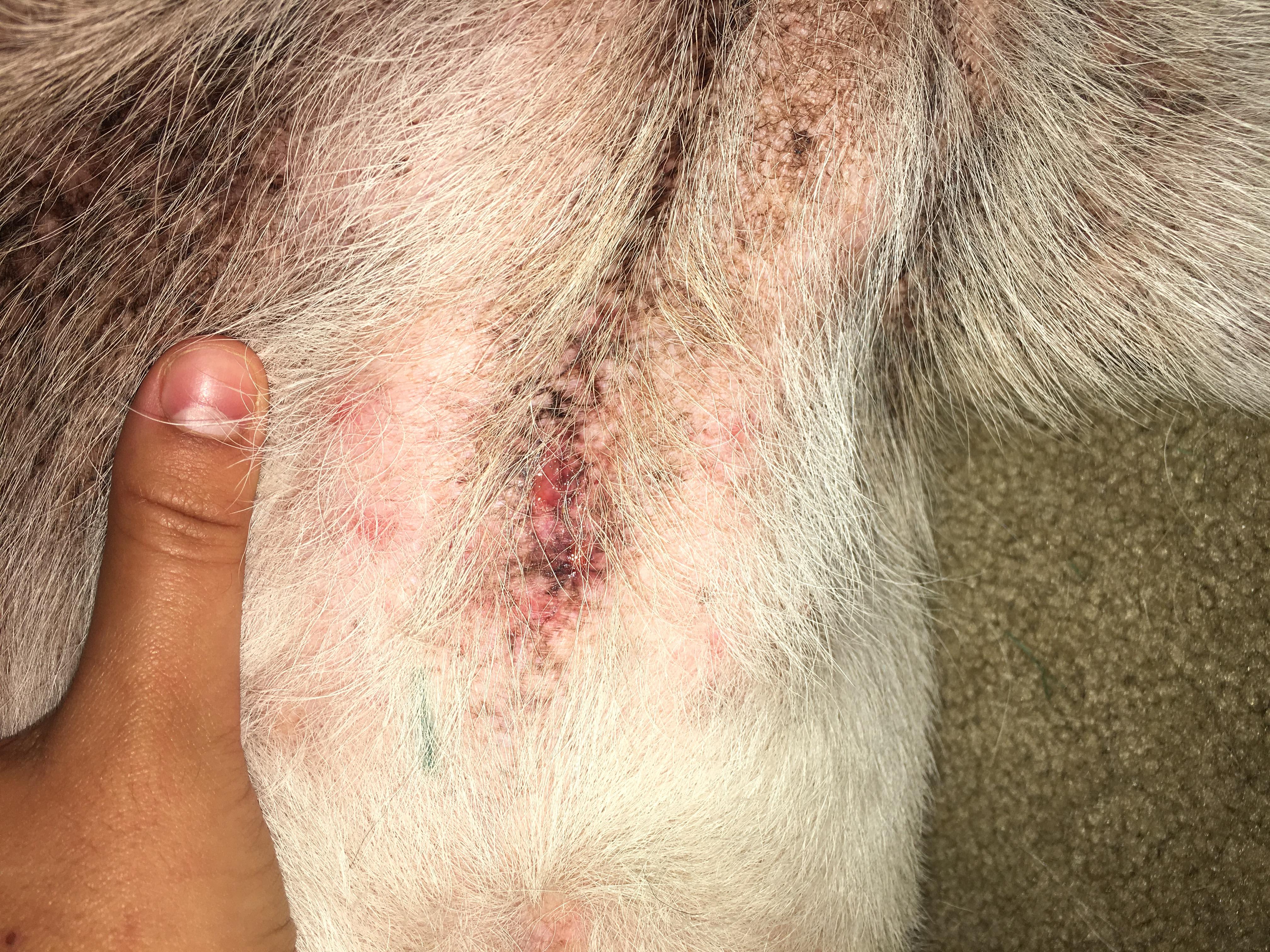 Question details sensitive content