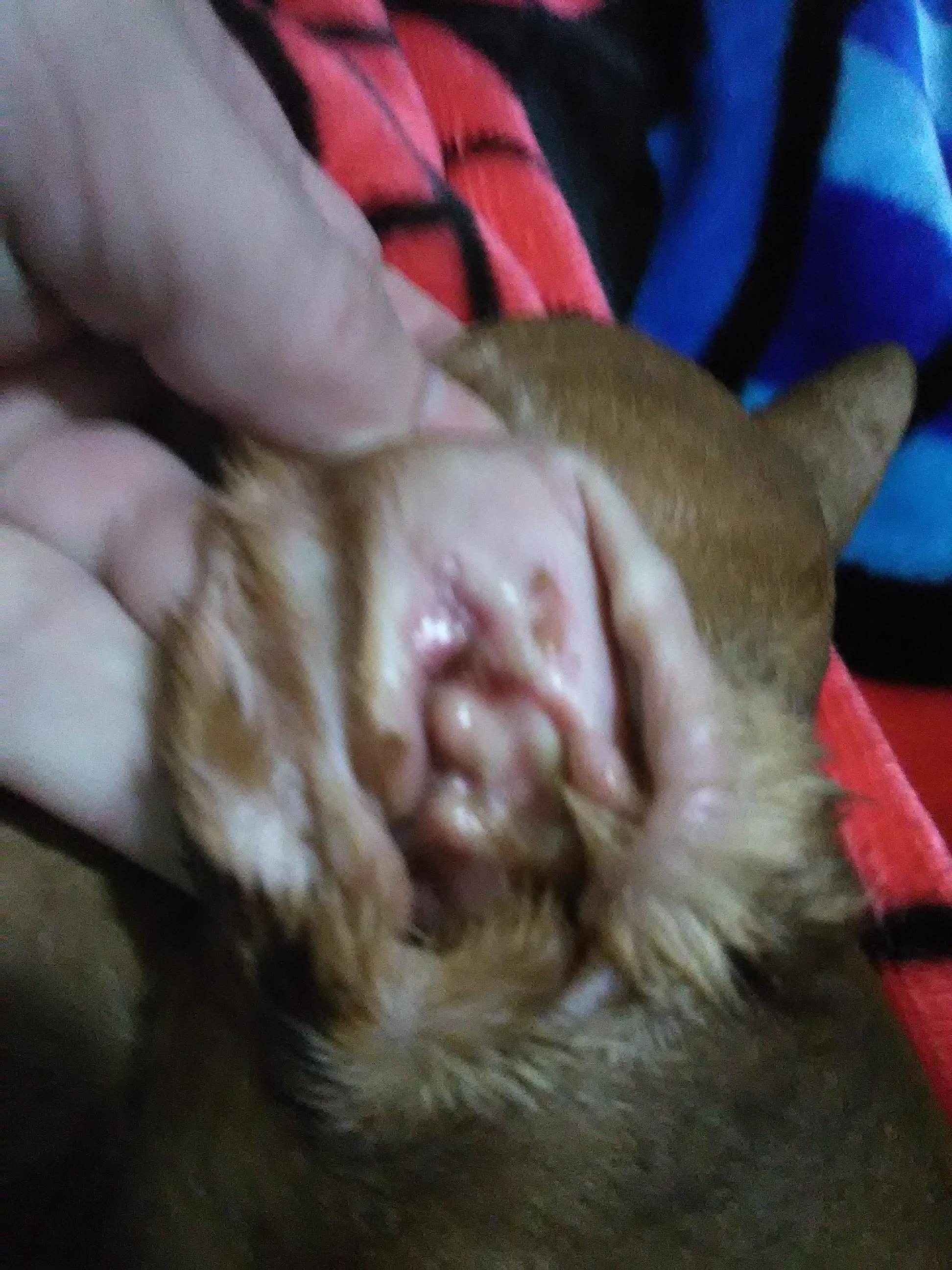 Question details sensitive content