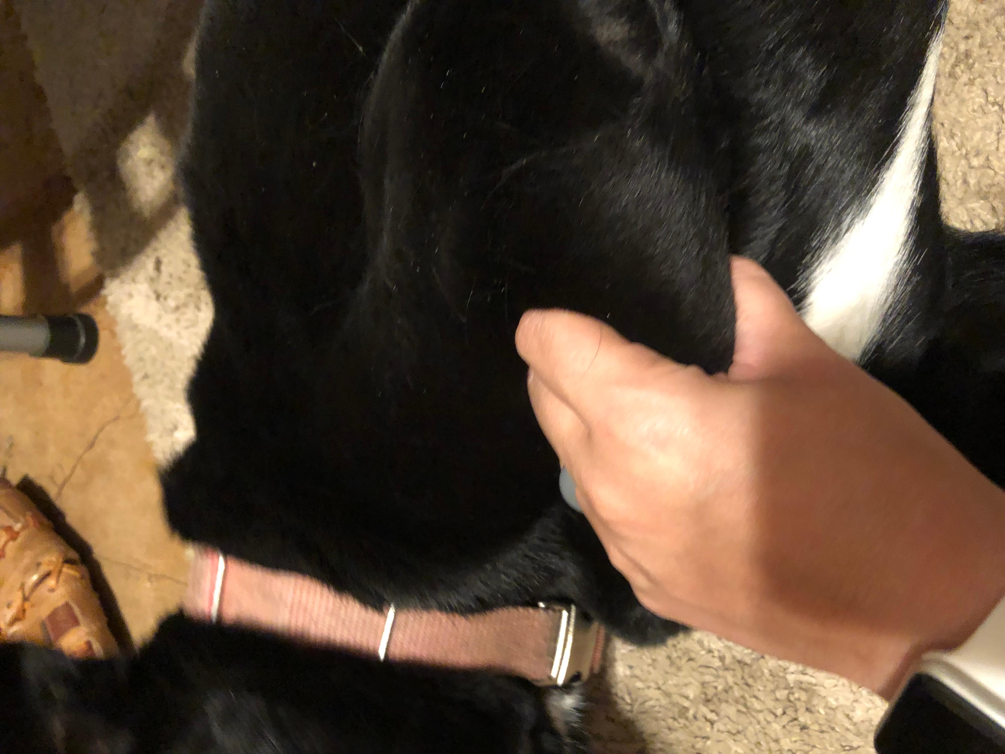 Question details sensitive content