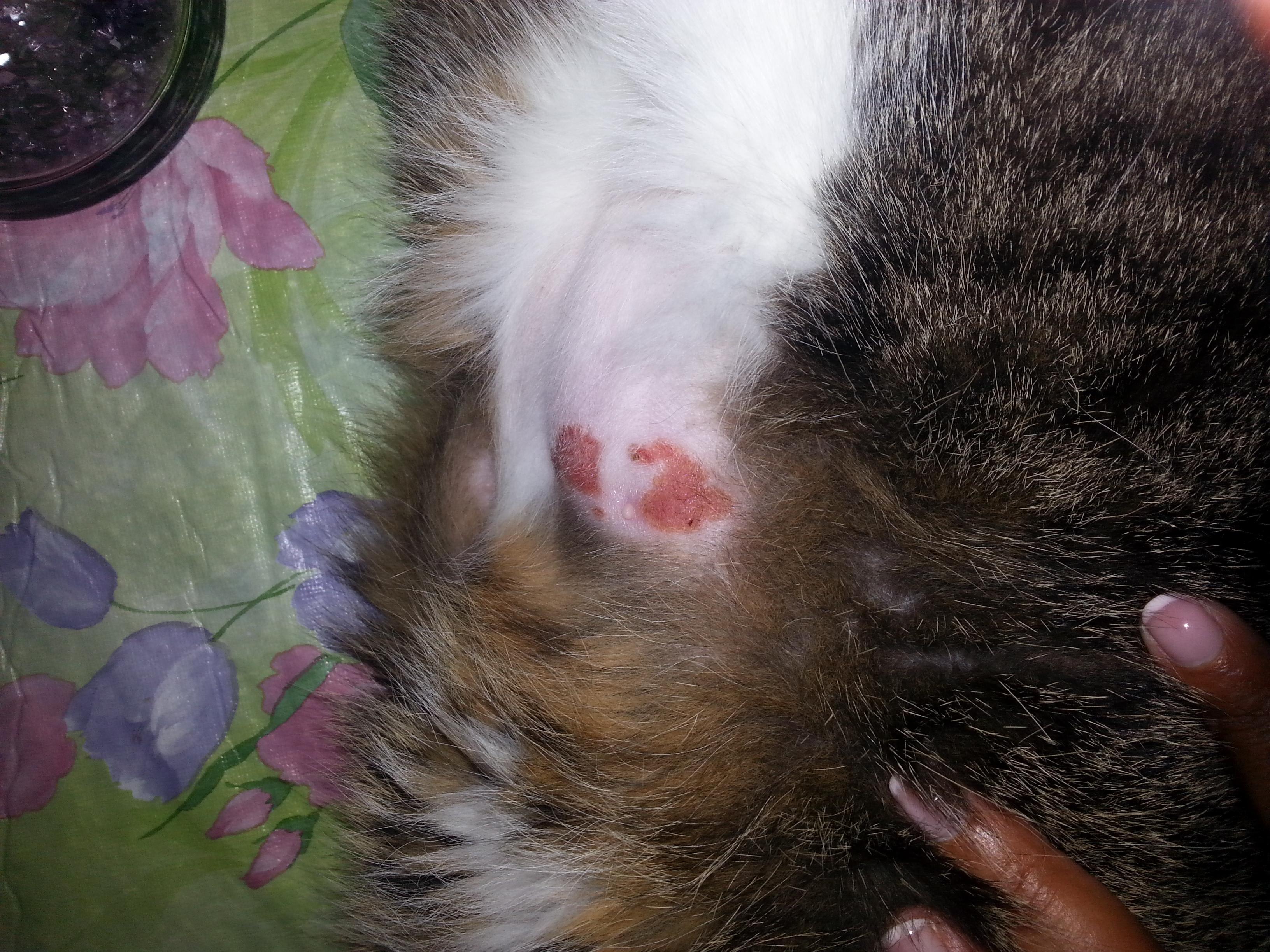 Question details sensitive content