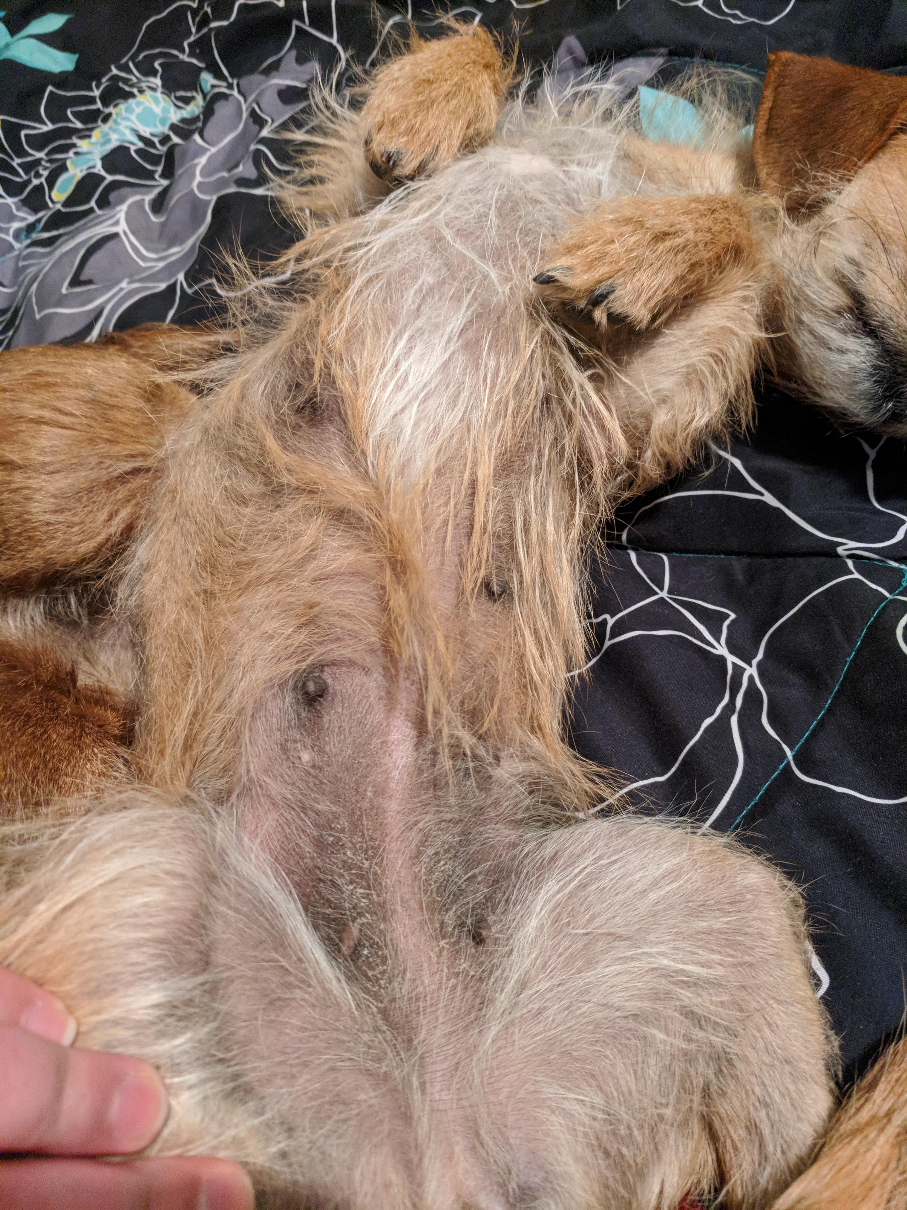 Question details sensitive content