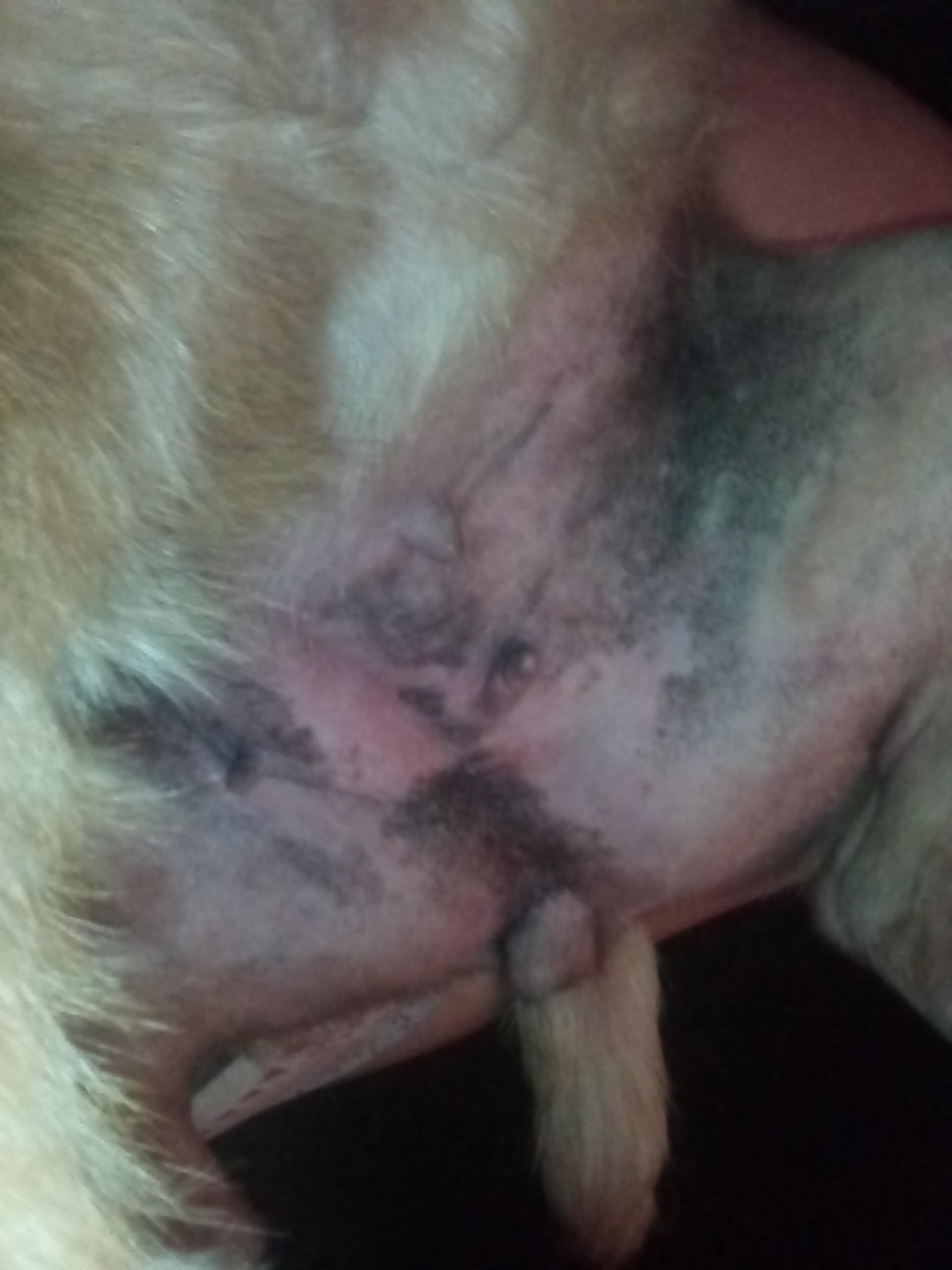 Question details sensitive content